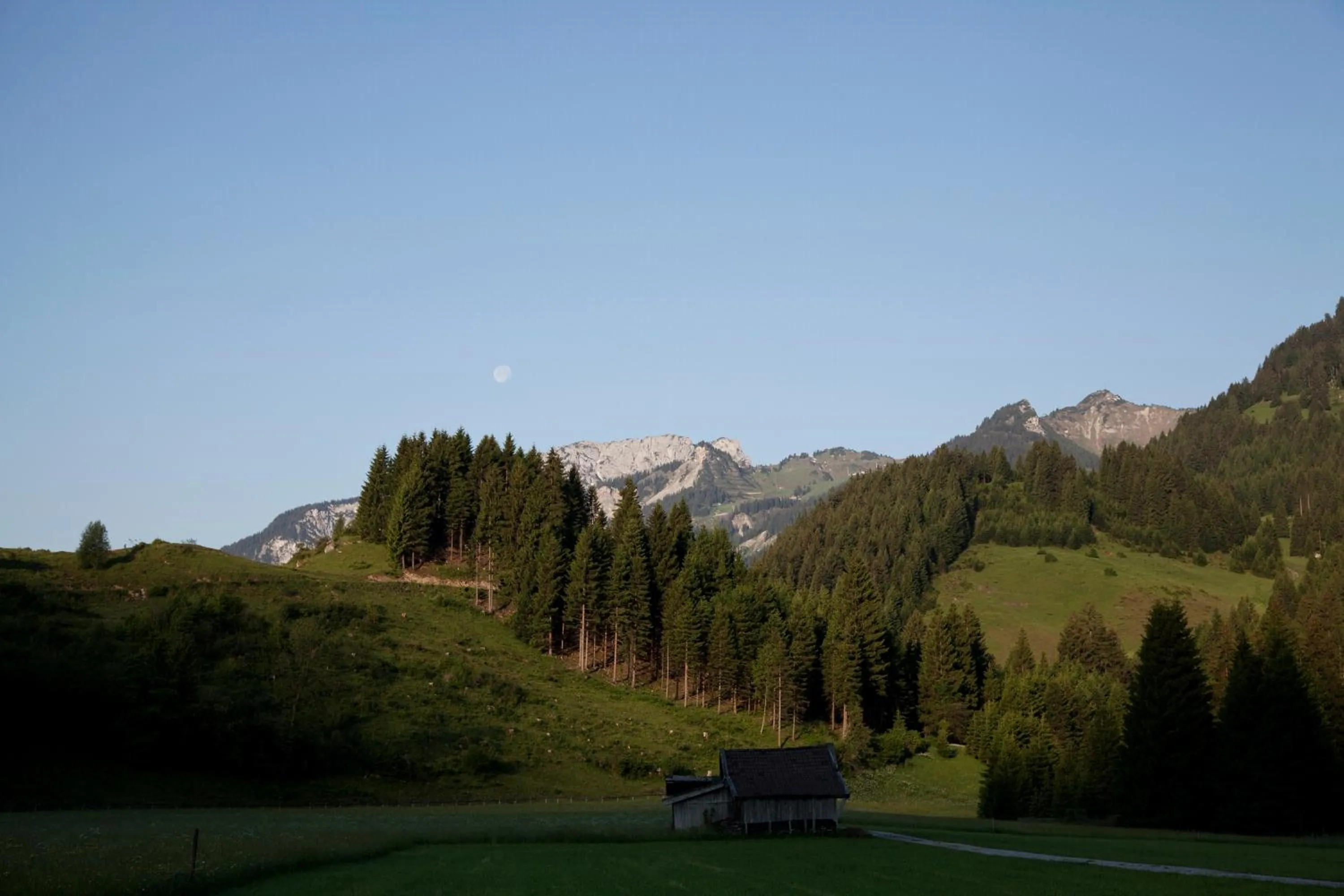 Neighbourhood in Der Tannenhof