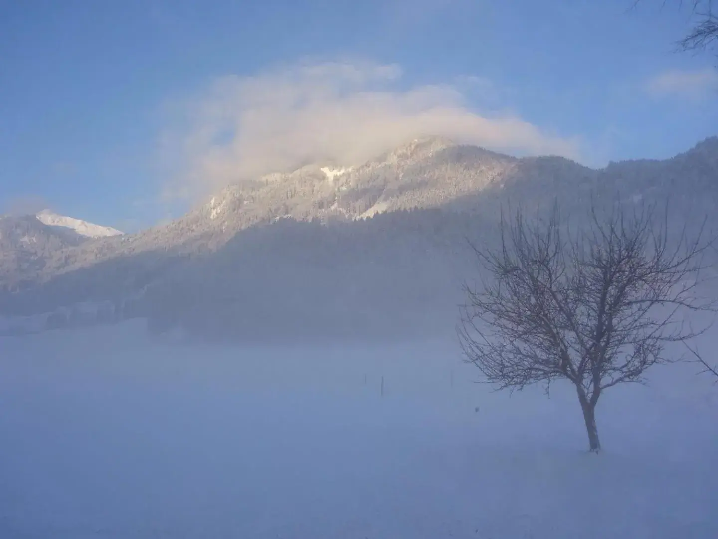 Skiing, Winter in DER TANNENHOF