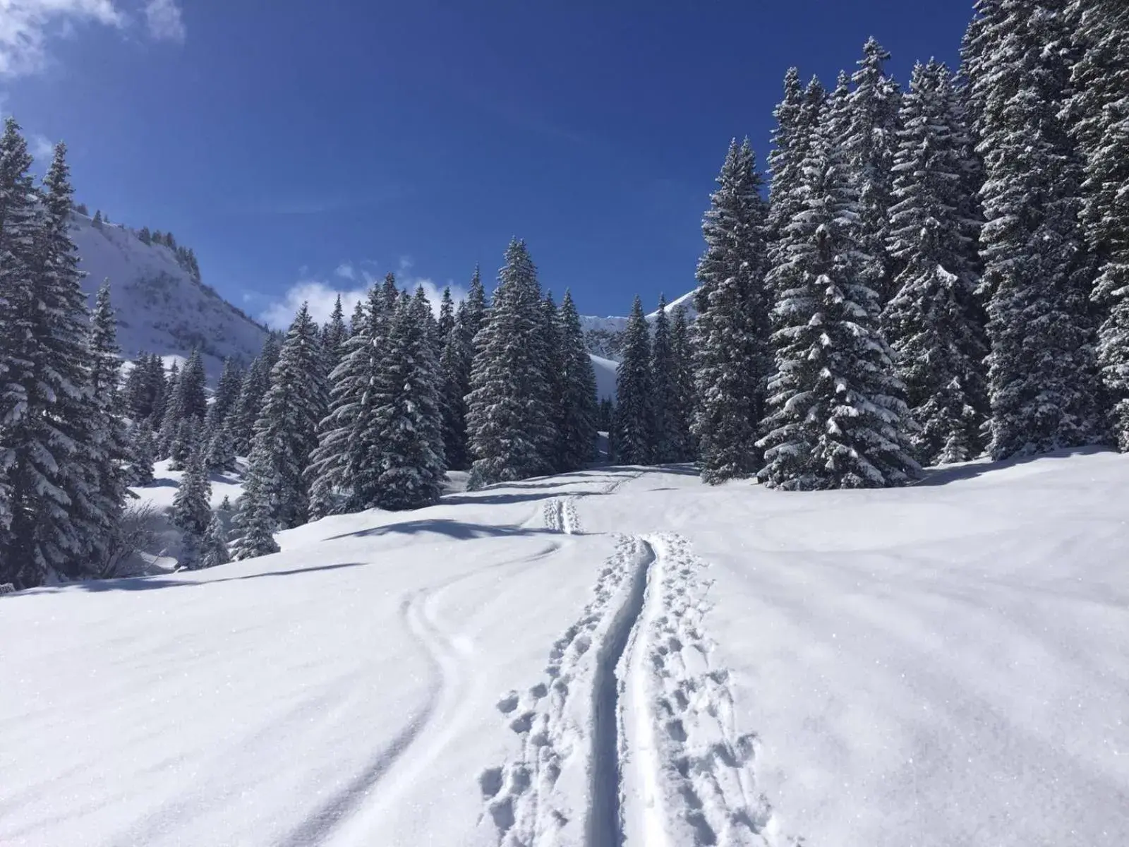 Skiing, Winter in DER TANNENHOF