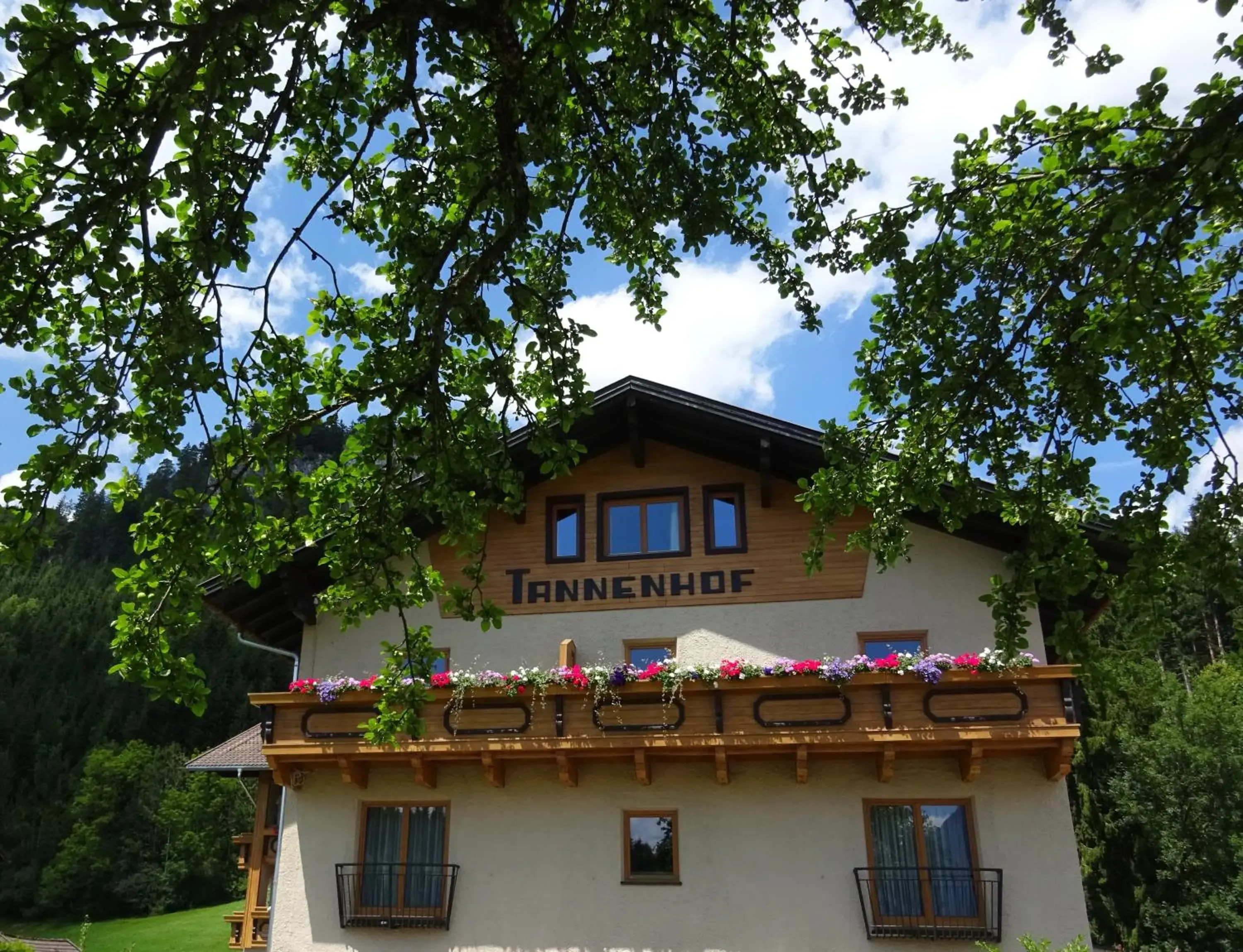 View (from property/room), Property Building in DER TANNENHOF