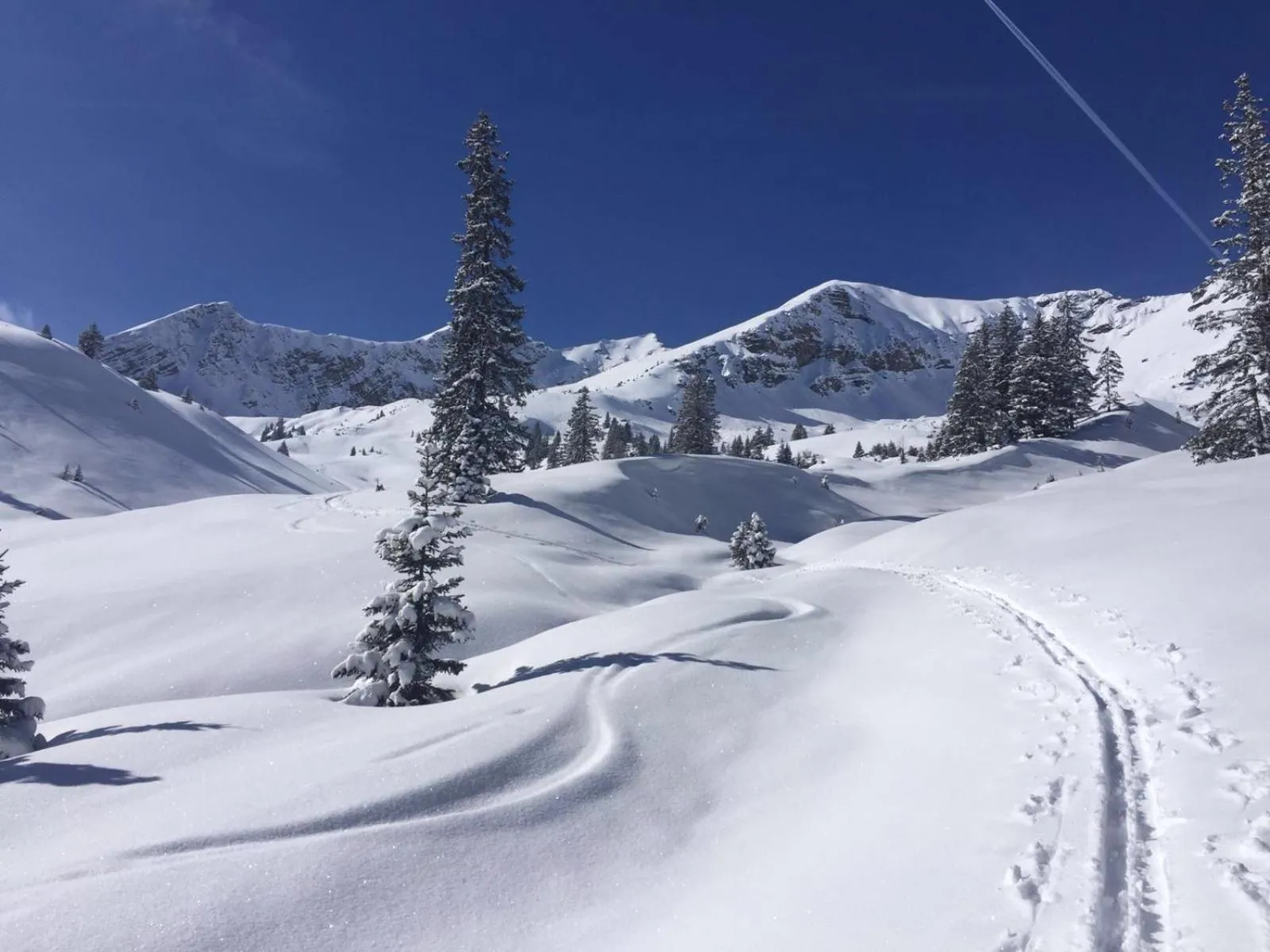Skiing in Der Tannenhof