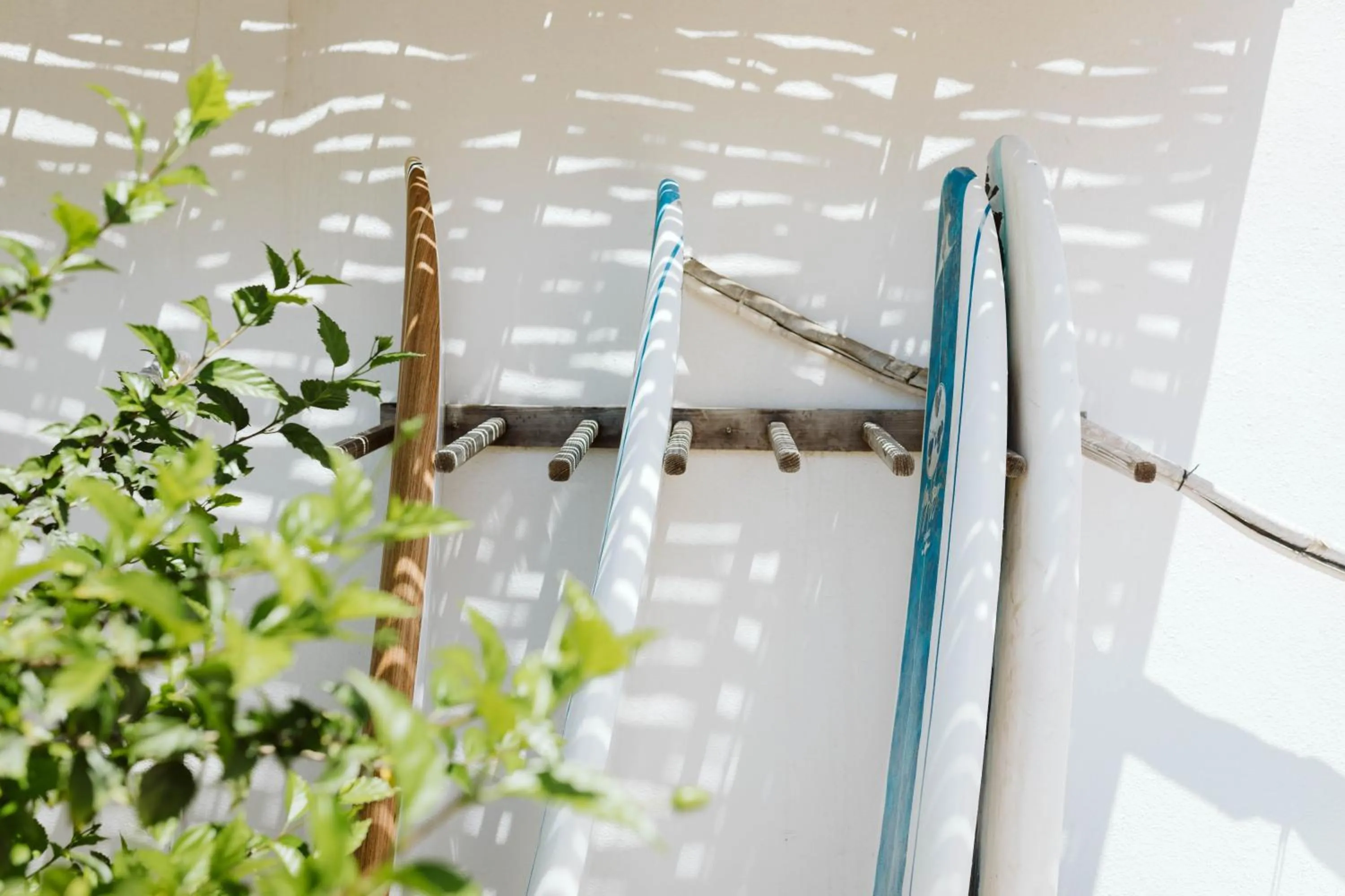 Activities in Olas de Cerritos