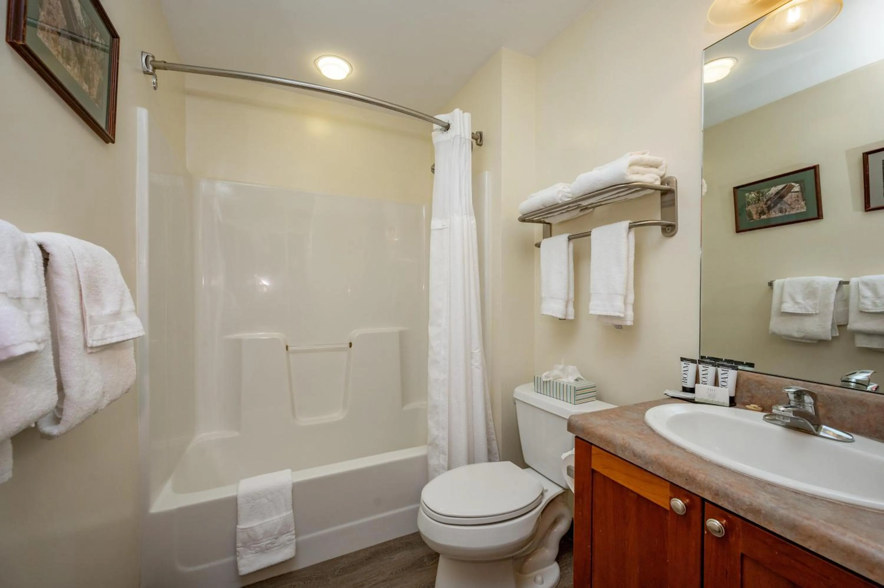 A204 Studio Standard View