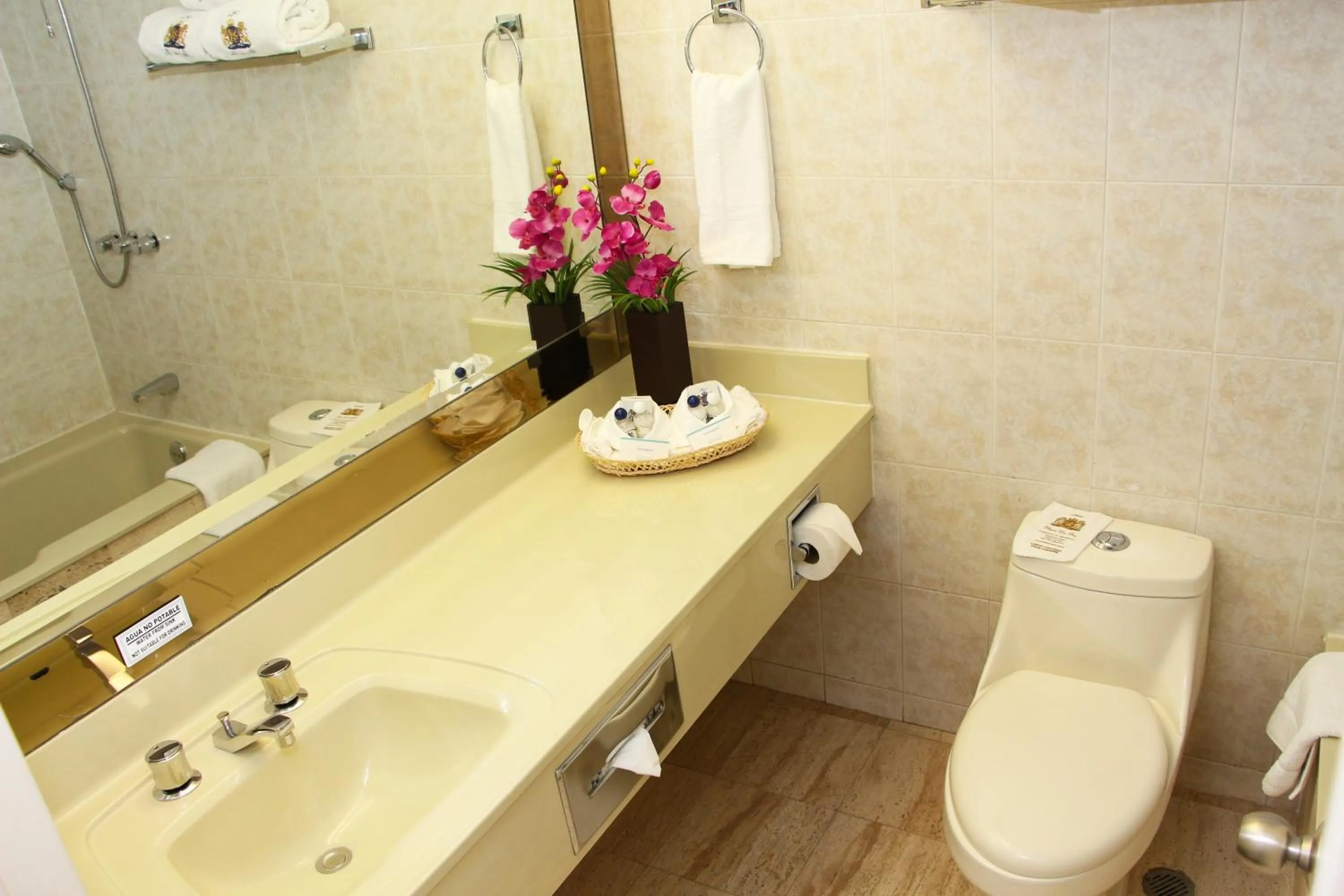 Bathroom in Plaza de Oro