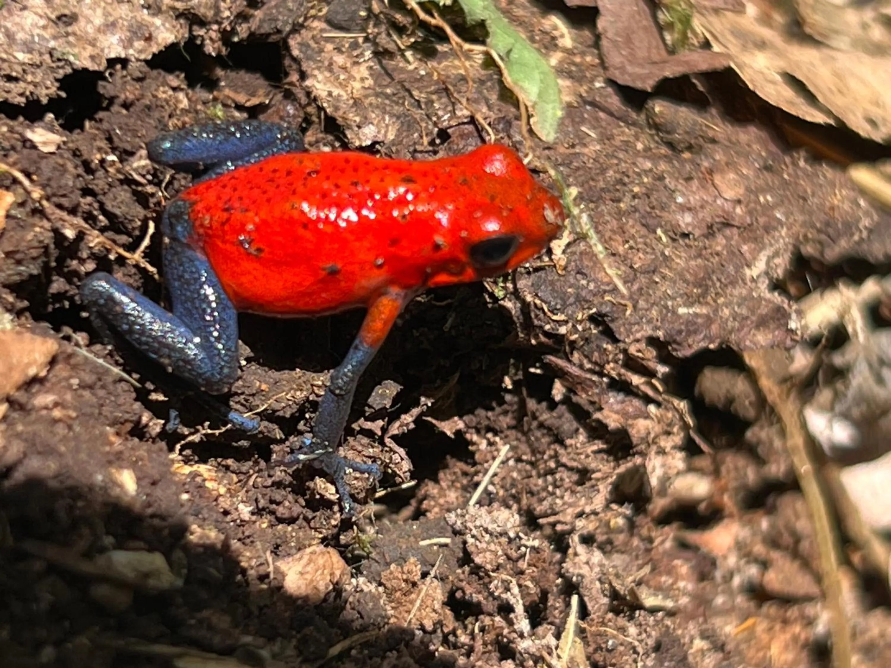 Property building in Hotel Arte Natura