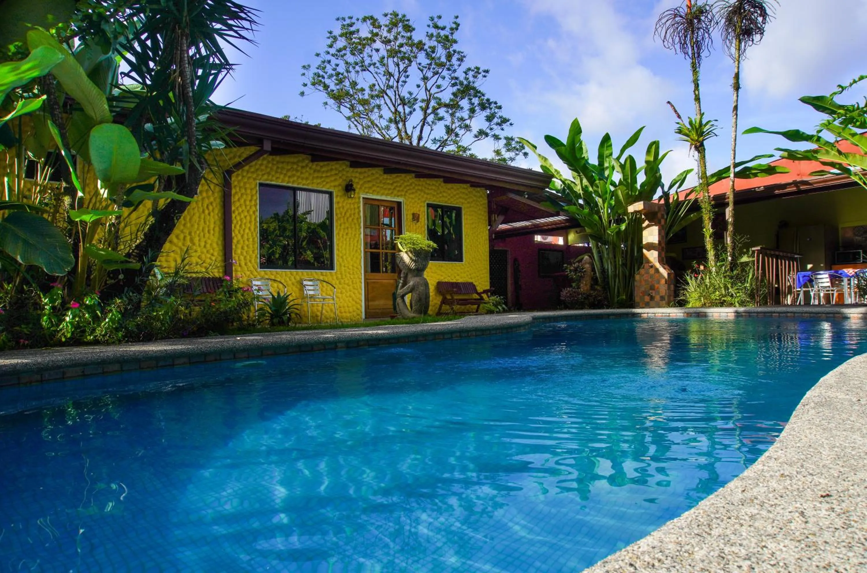 Swimming pool in Hotel Arte Natura