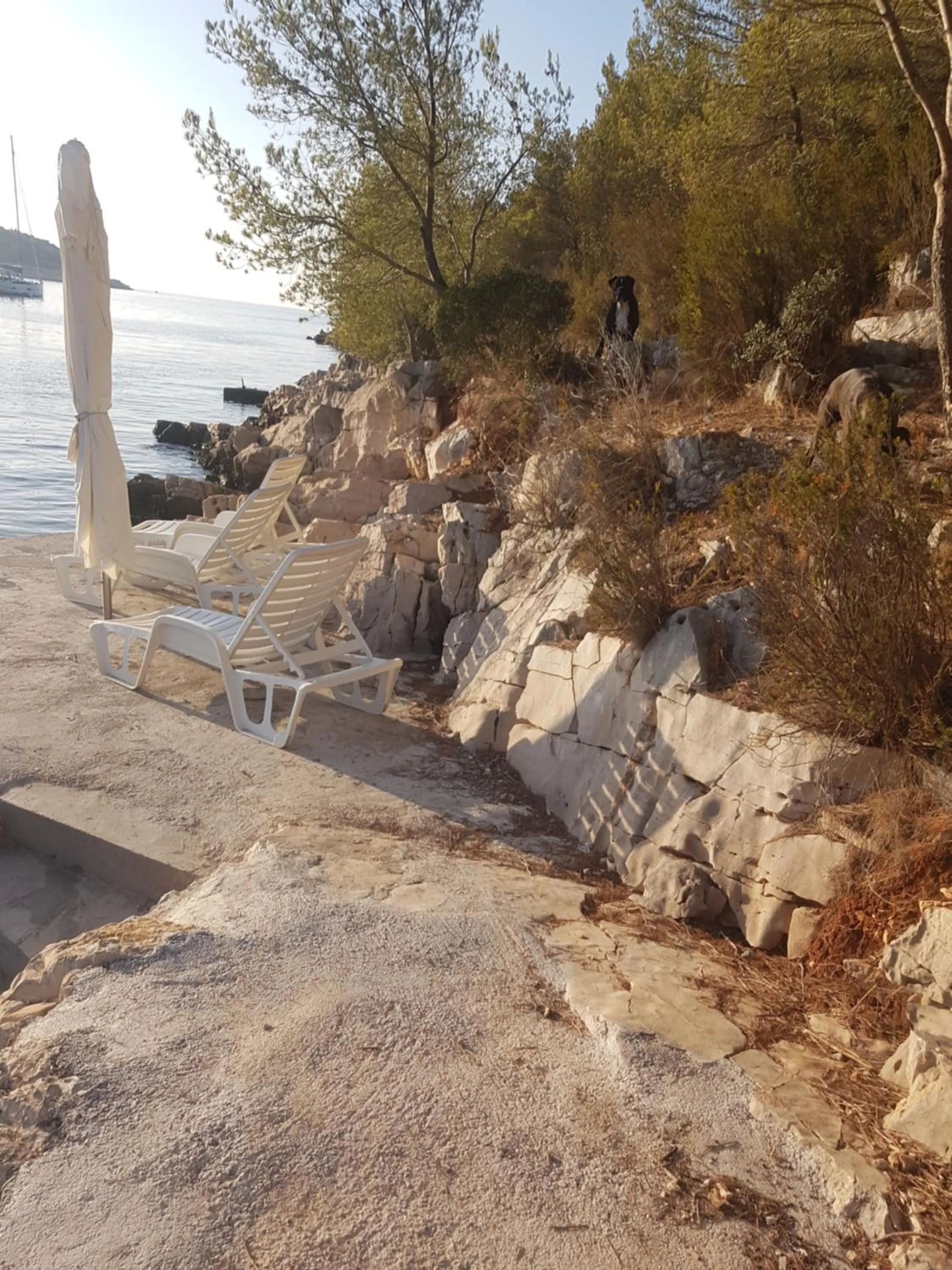 Beach in Apartments Villa Sonia & Teo Hvar