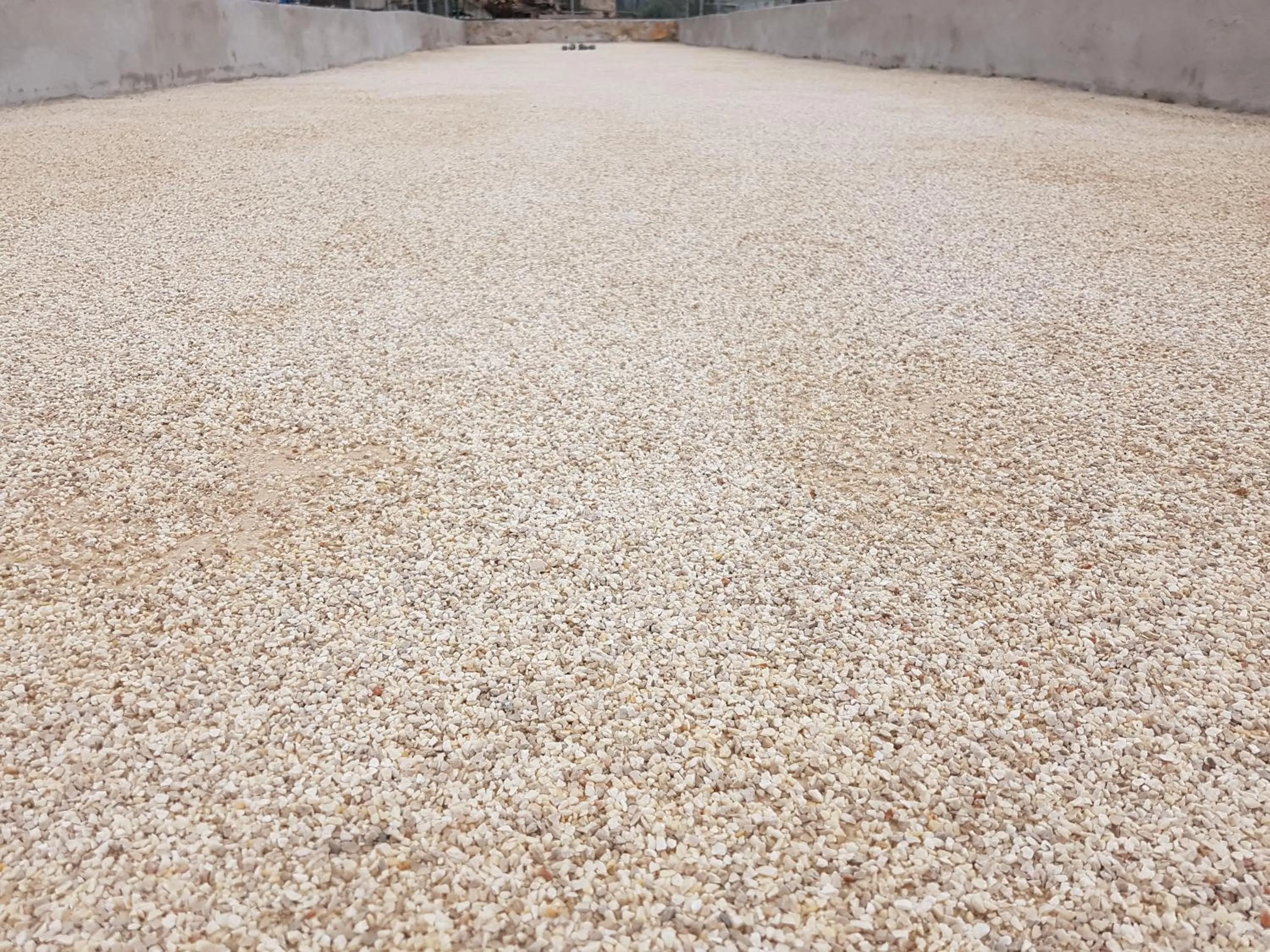 Activities in Apartments Villa Sonia & Teo Hvar