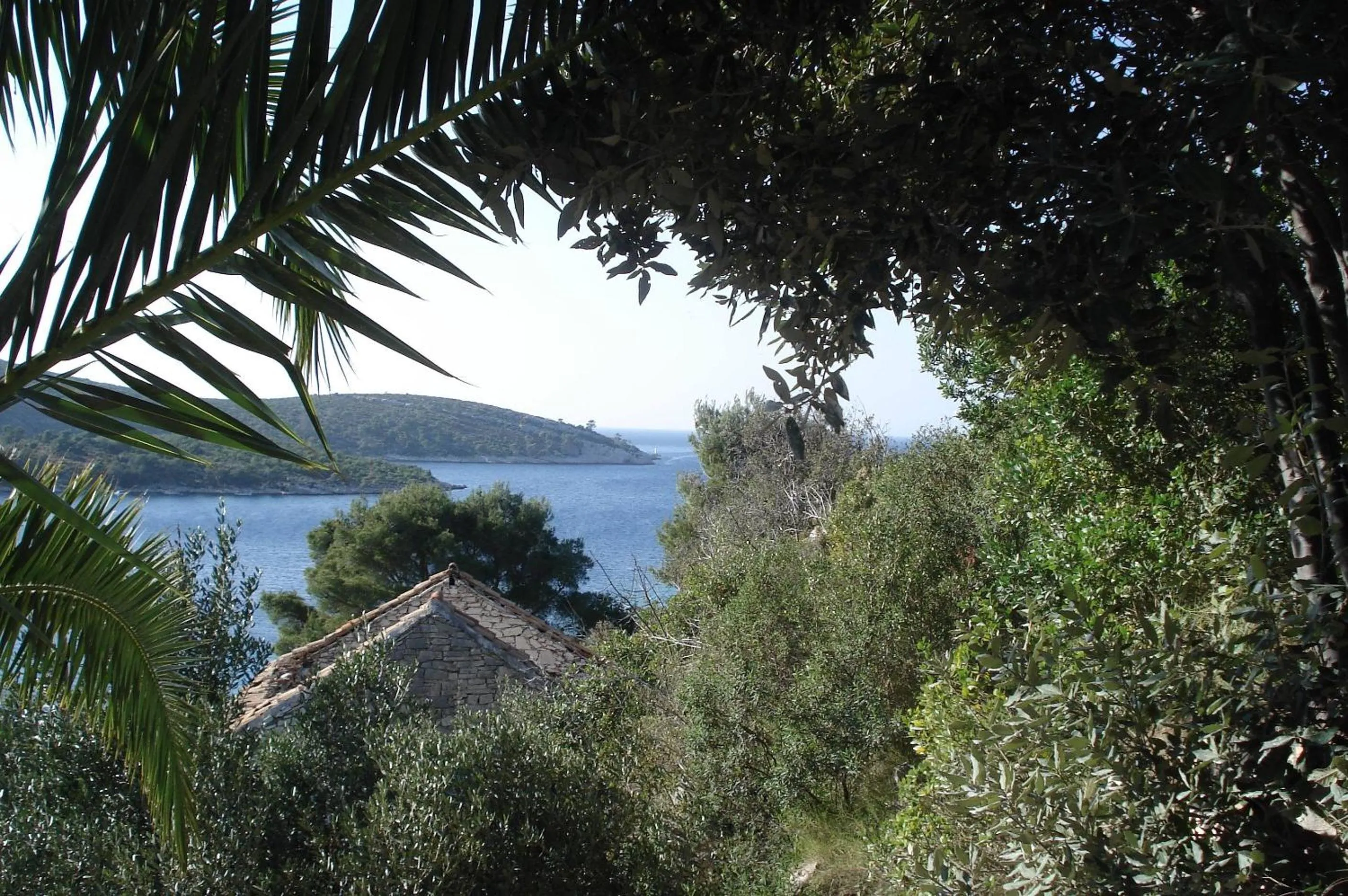 Day in Apartments Villa Sonia & Teo Hvar