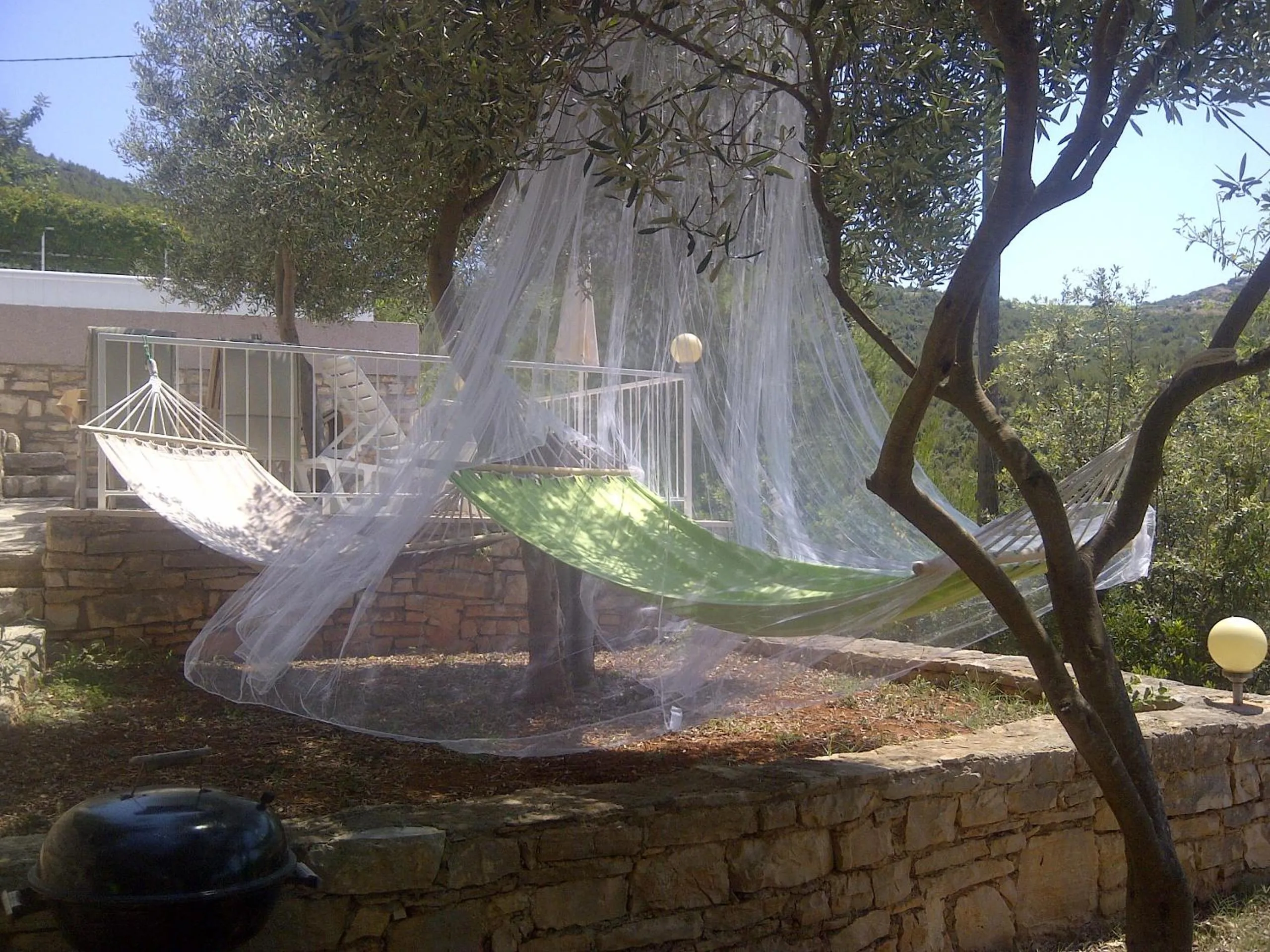 Activities in Apartments Villa Sonia & Teo Hvar