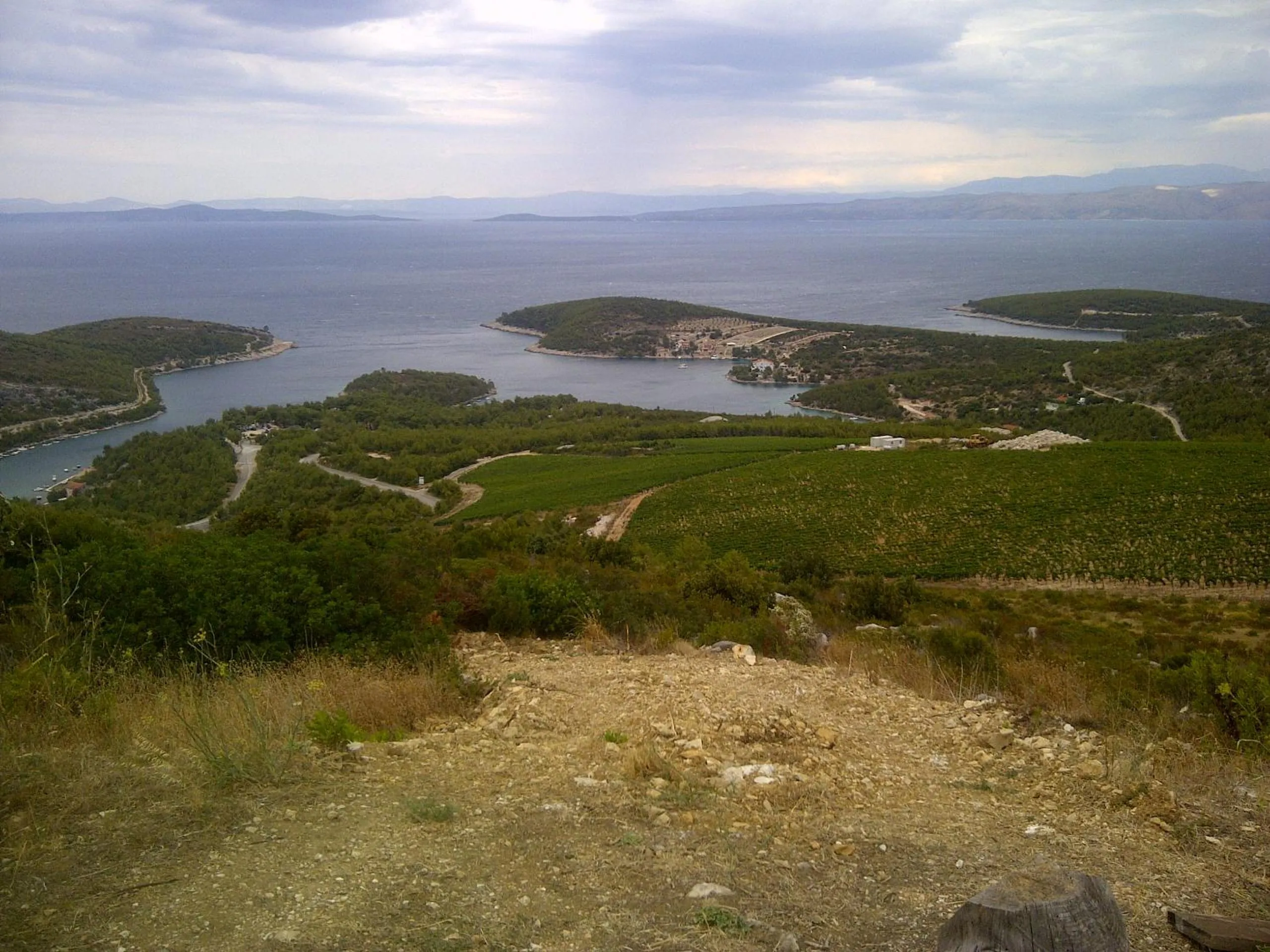 Natural landscape in Apartments Villa Sonia & Teo Hvar
