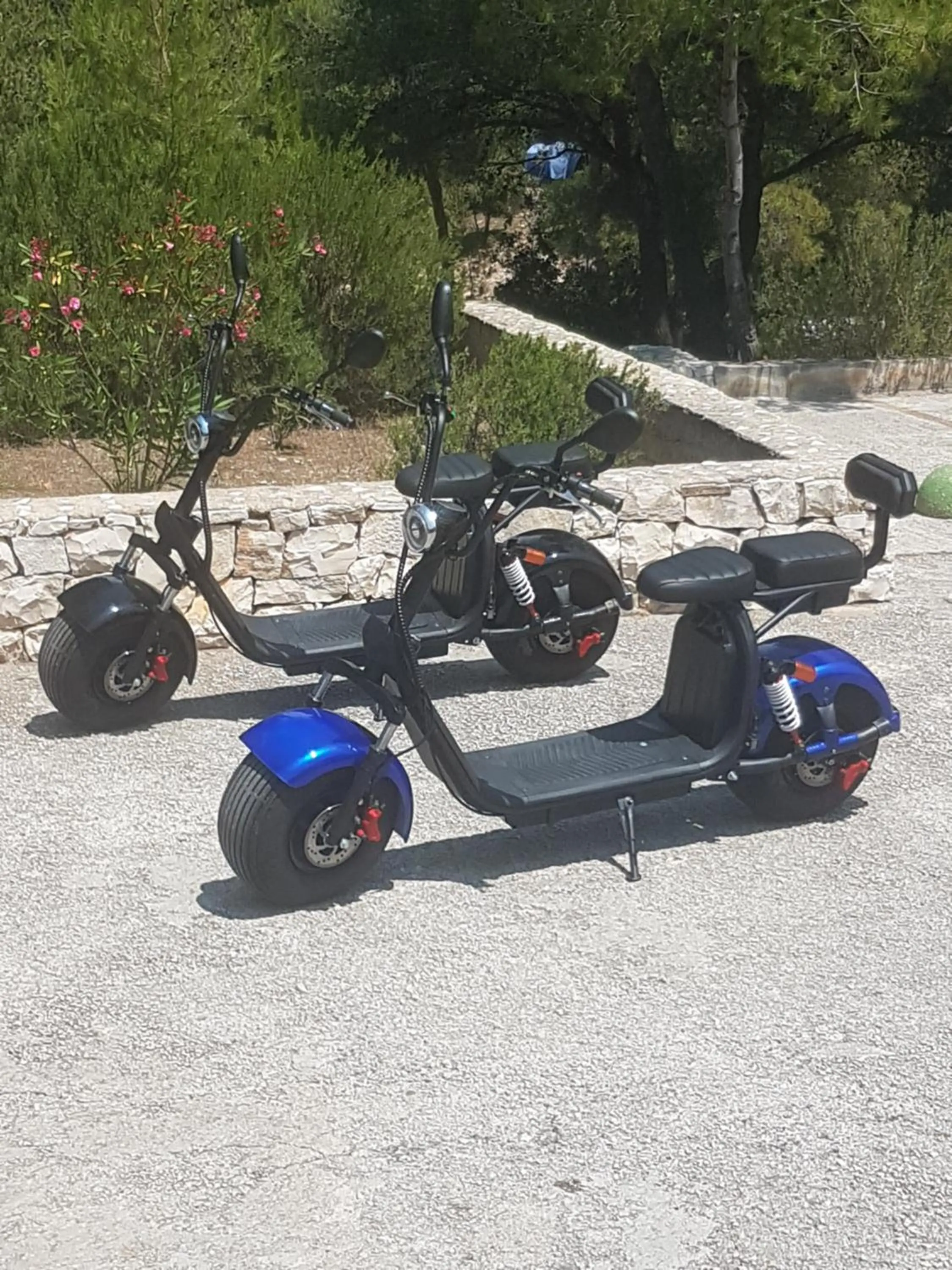 Activities in Apartments Villa Sonia & Teo Hvar