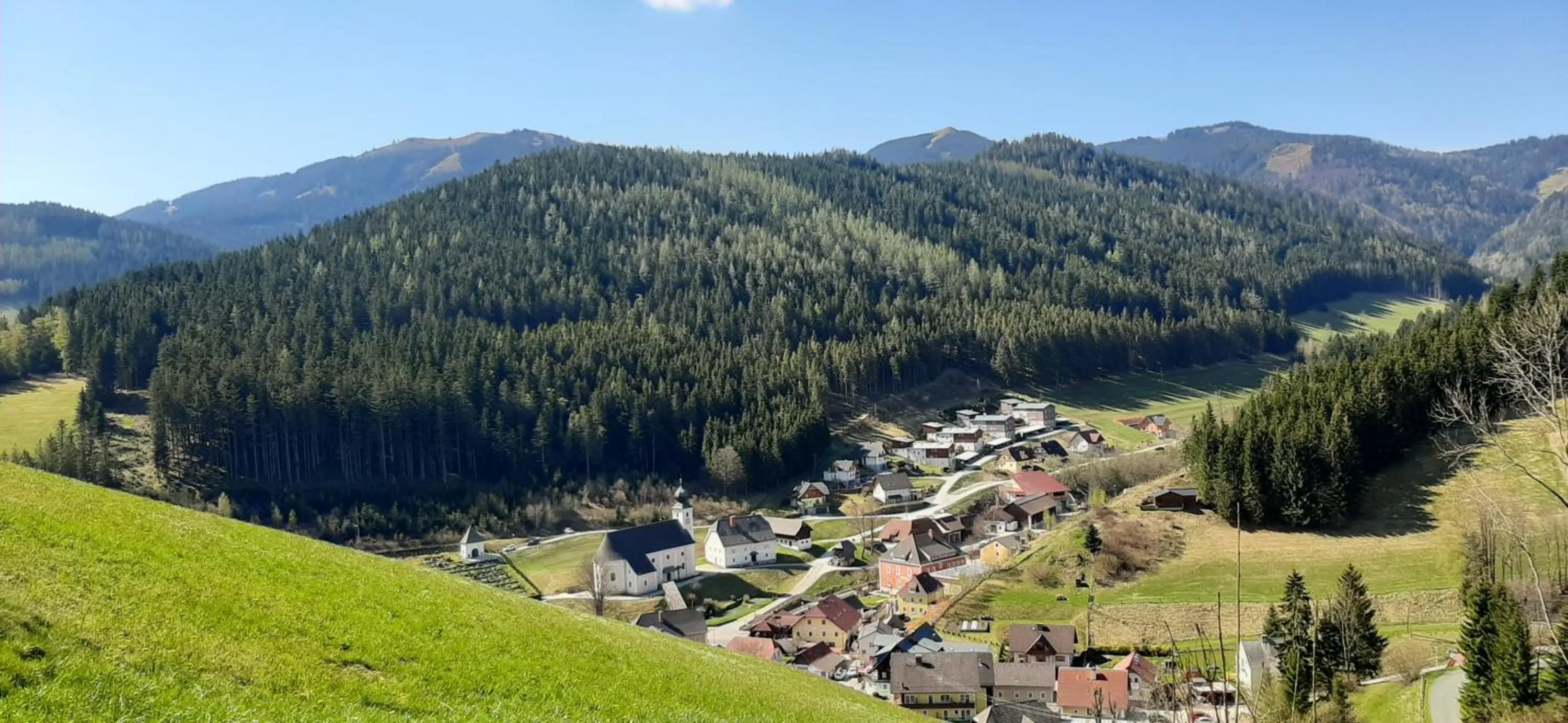 Natural landscape in Landhotel-Restaurant Willingshofer