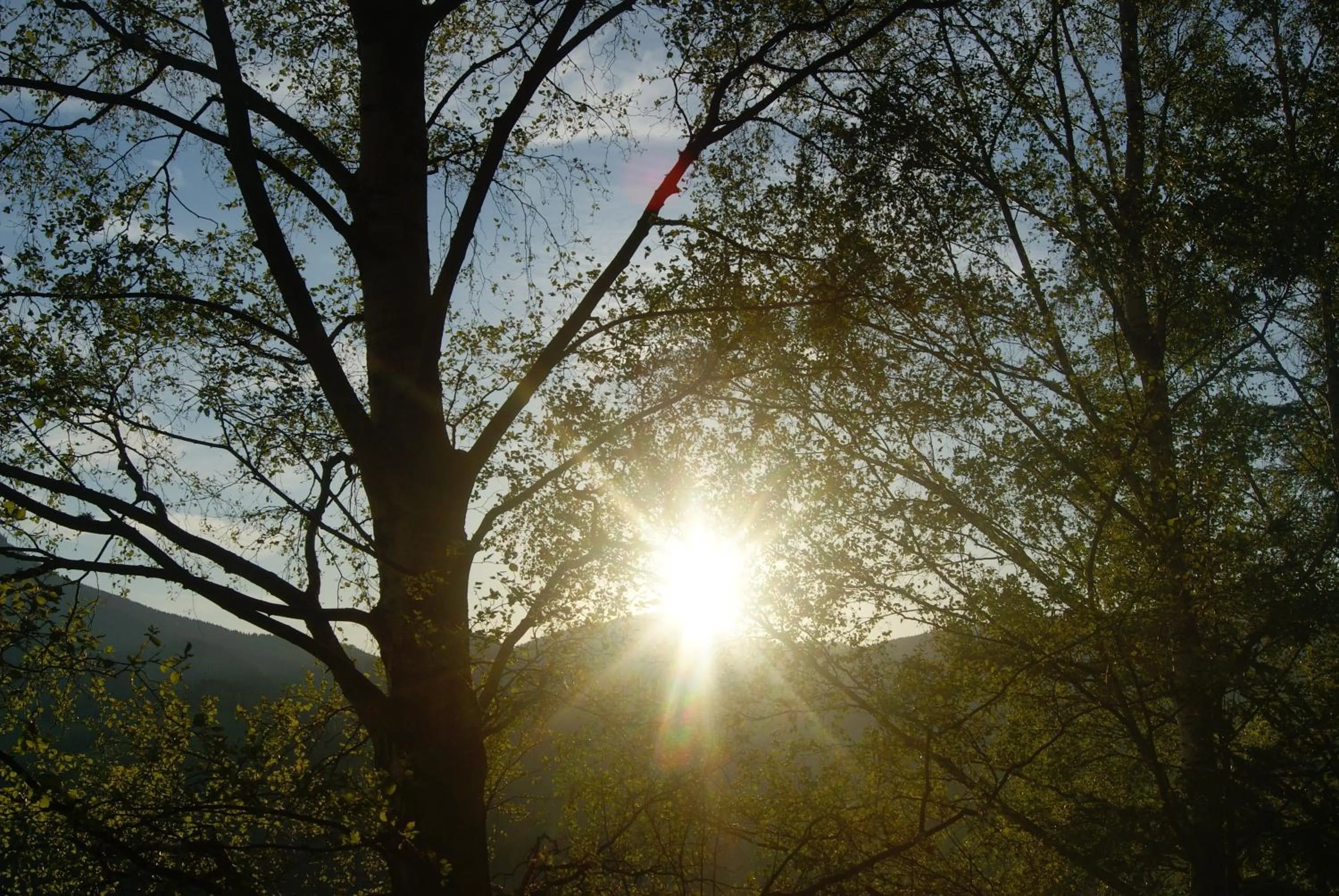 Area and facilities in Landhotel-Restaurant Willingshofer