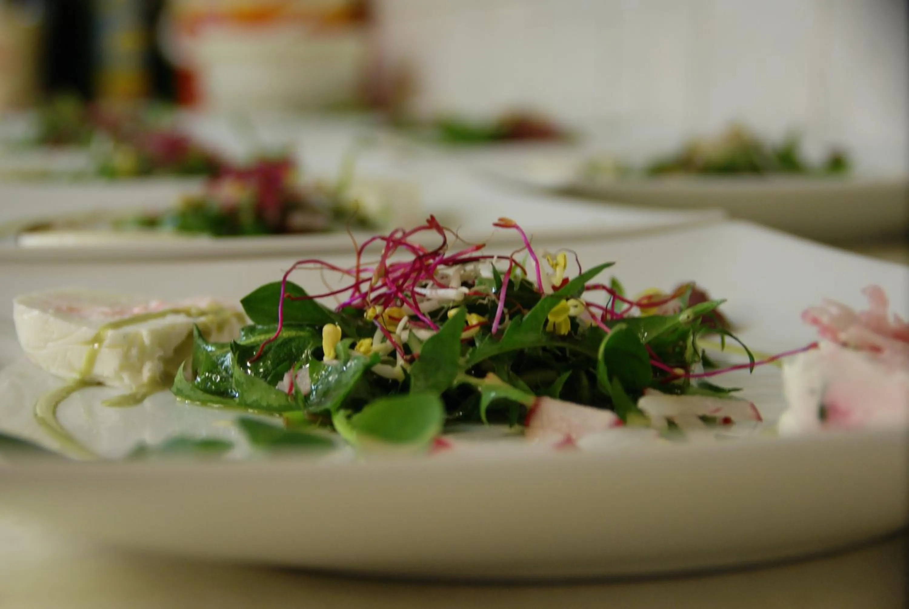 Restaurant/places to eat in Landhotel-Restaurant Willingshofer