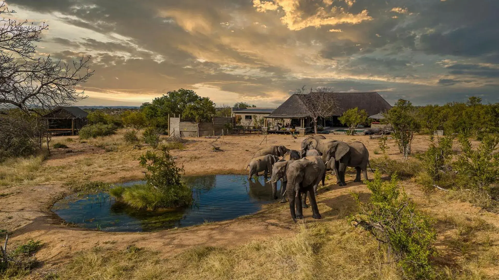 Imagine Africa Luxury Tented Camp Imagine Africa Luxury Tented Camp