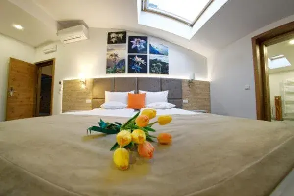 Double Room - single occupancy in AQUARIUS BOUTIQUE HOTEL Double Room - single occupancy in AQUARIUS BOUTIQUE HOTEL