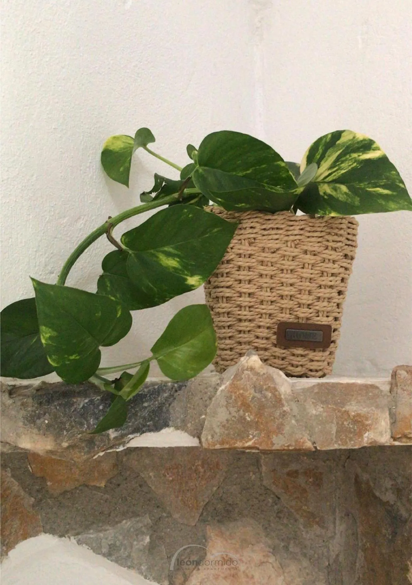 Hostal León Dormido