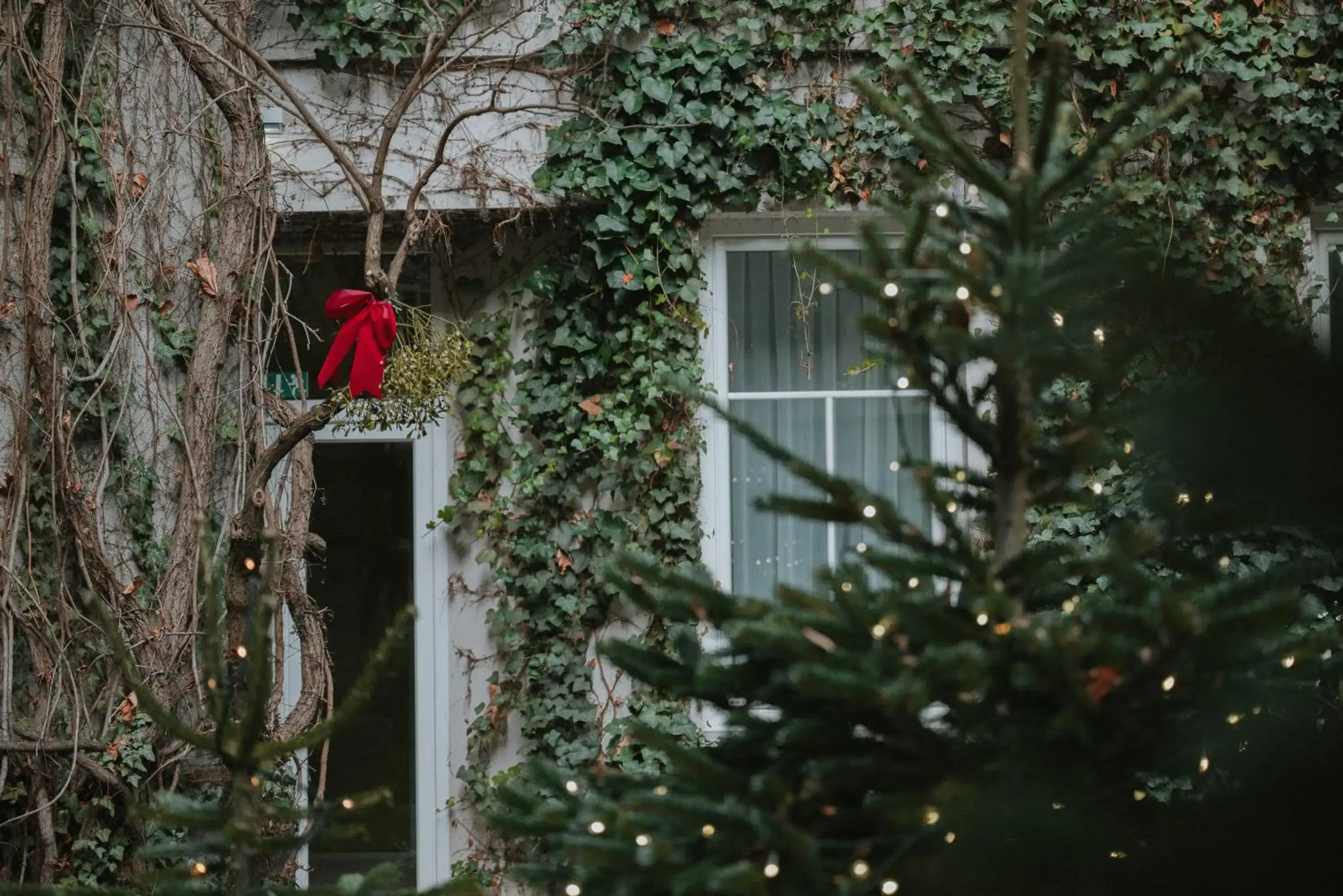 Facade/entrance in Boutiquehotel Stadthalle Facade/entrance in Boutiquehotel Stadthalle