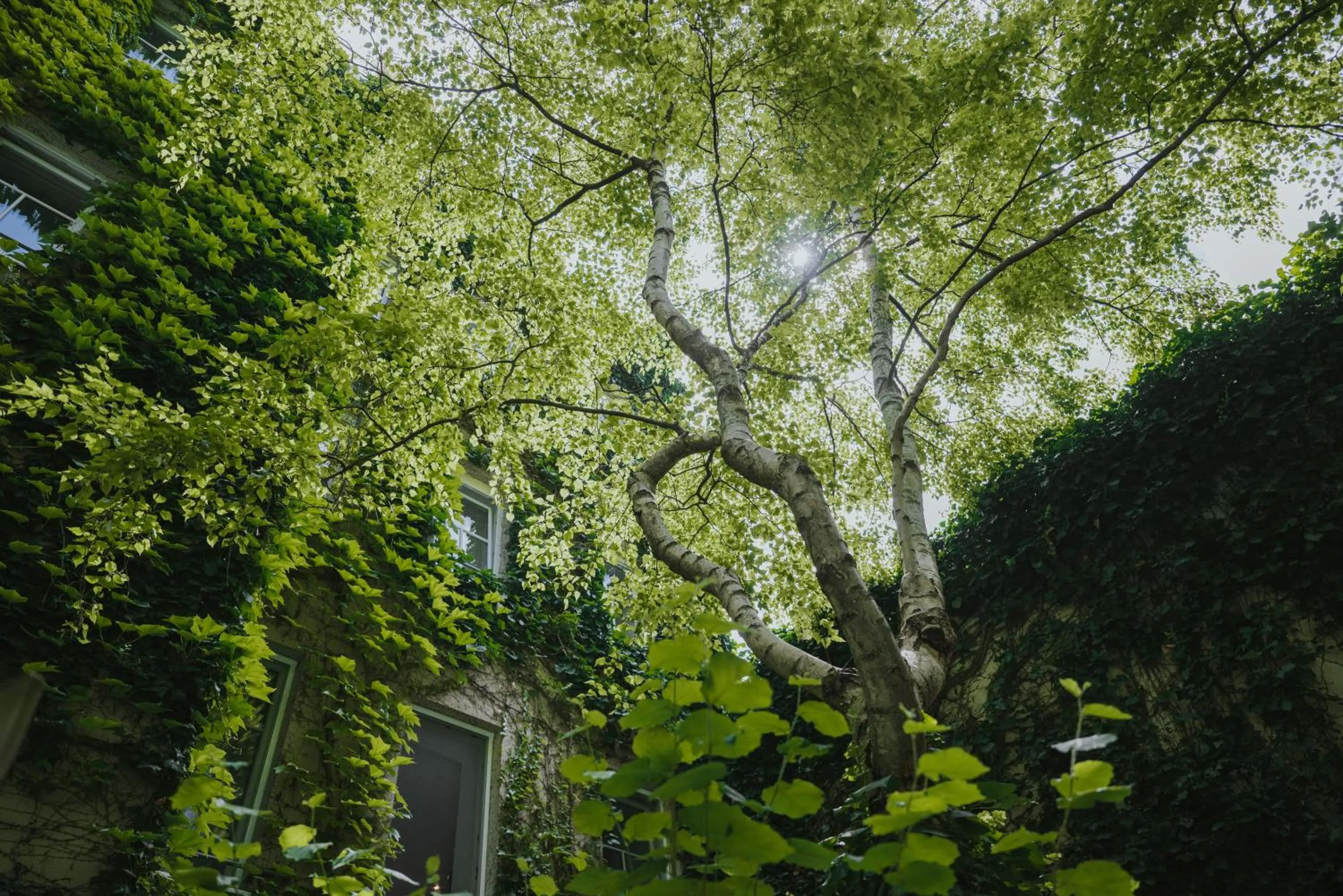 Garden in Boutiquehotel Stadthalle