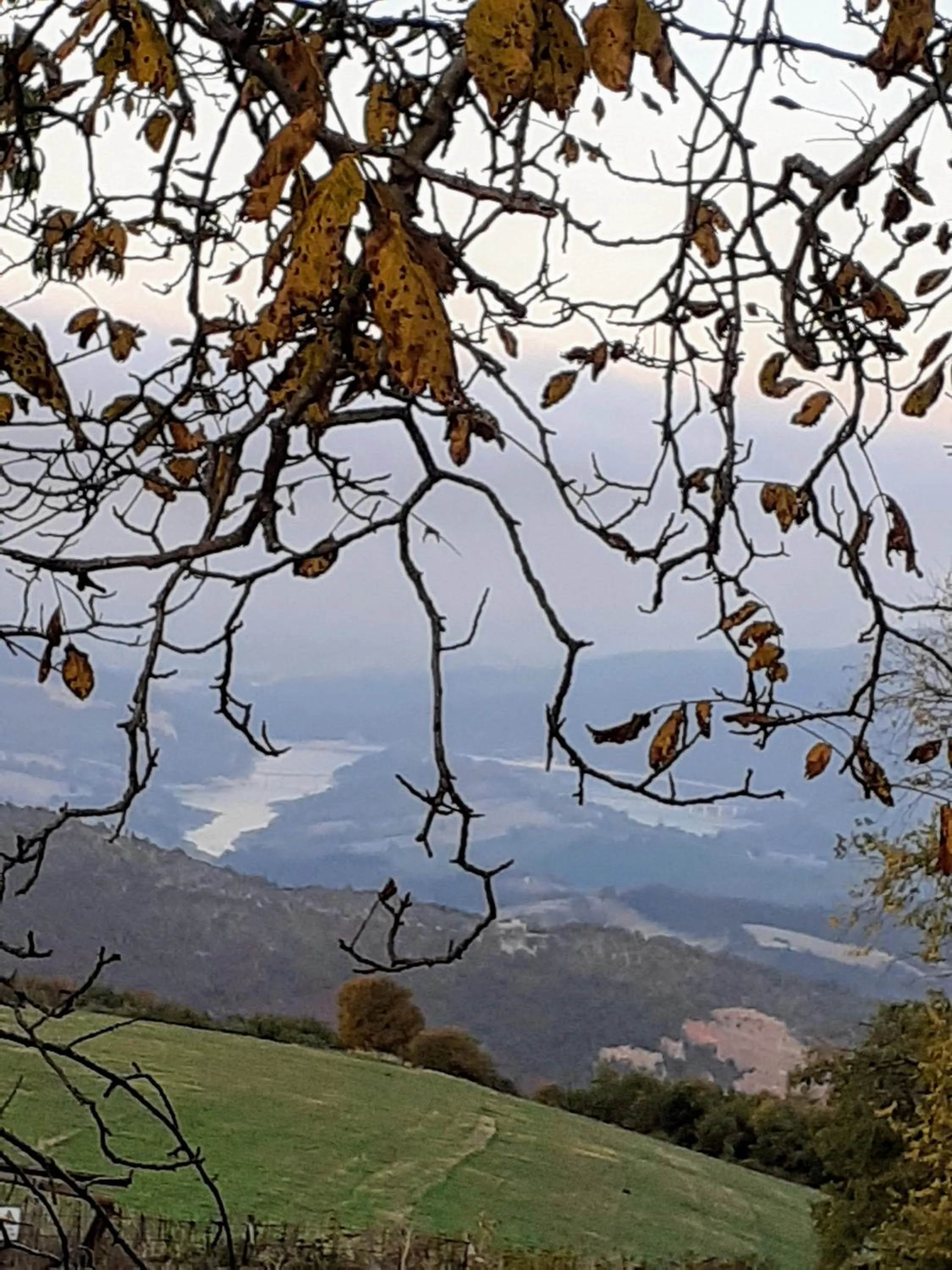 Natural landscape in Tenuta Grimaldi Wine Resort