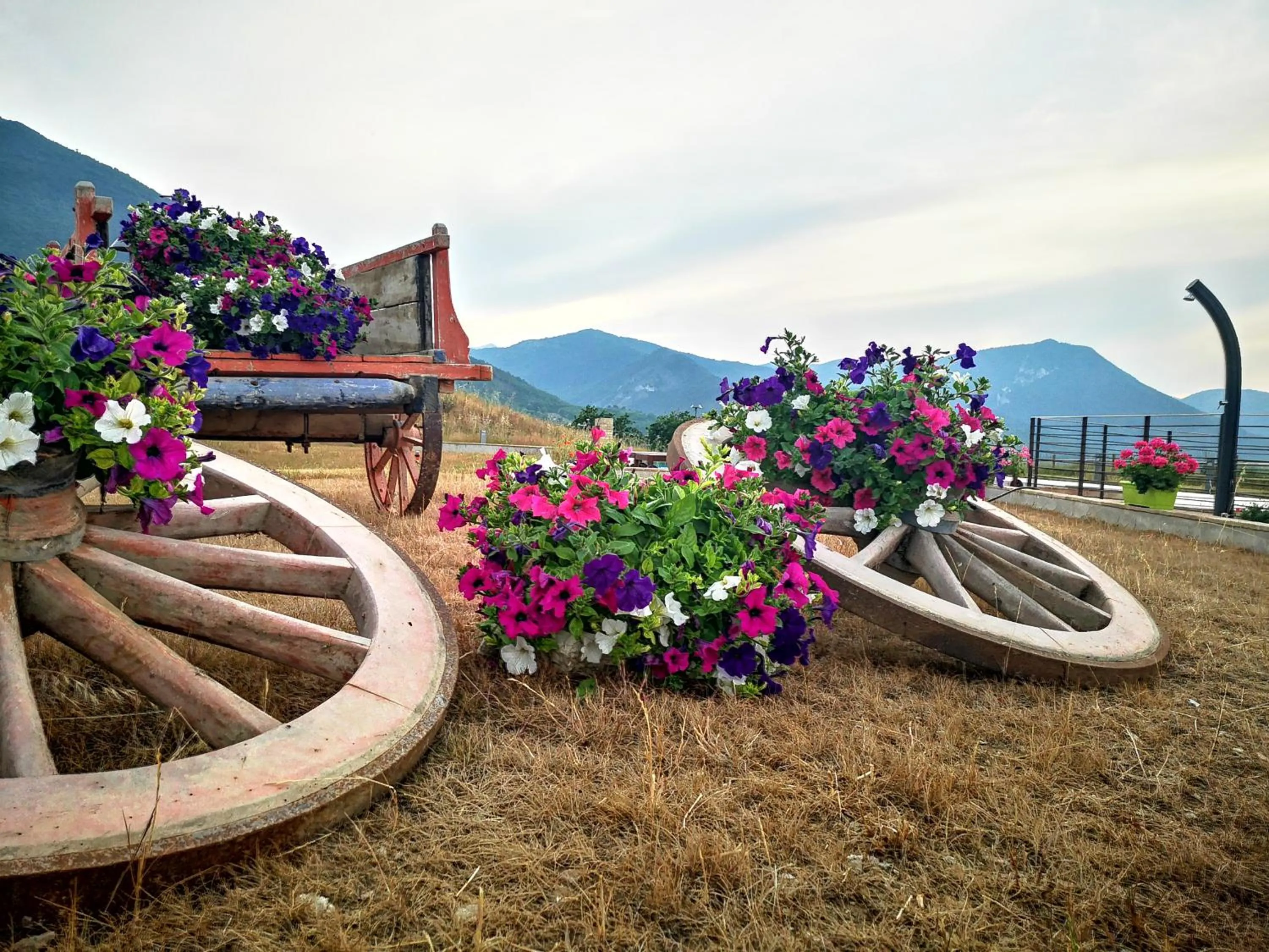 Garden view in Tenuta Grimaldi Wine Resort