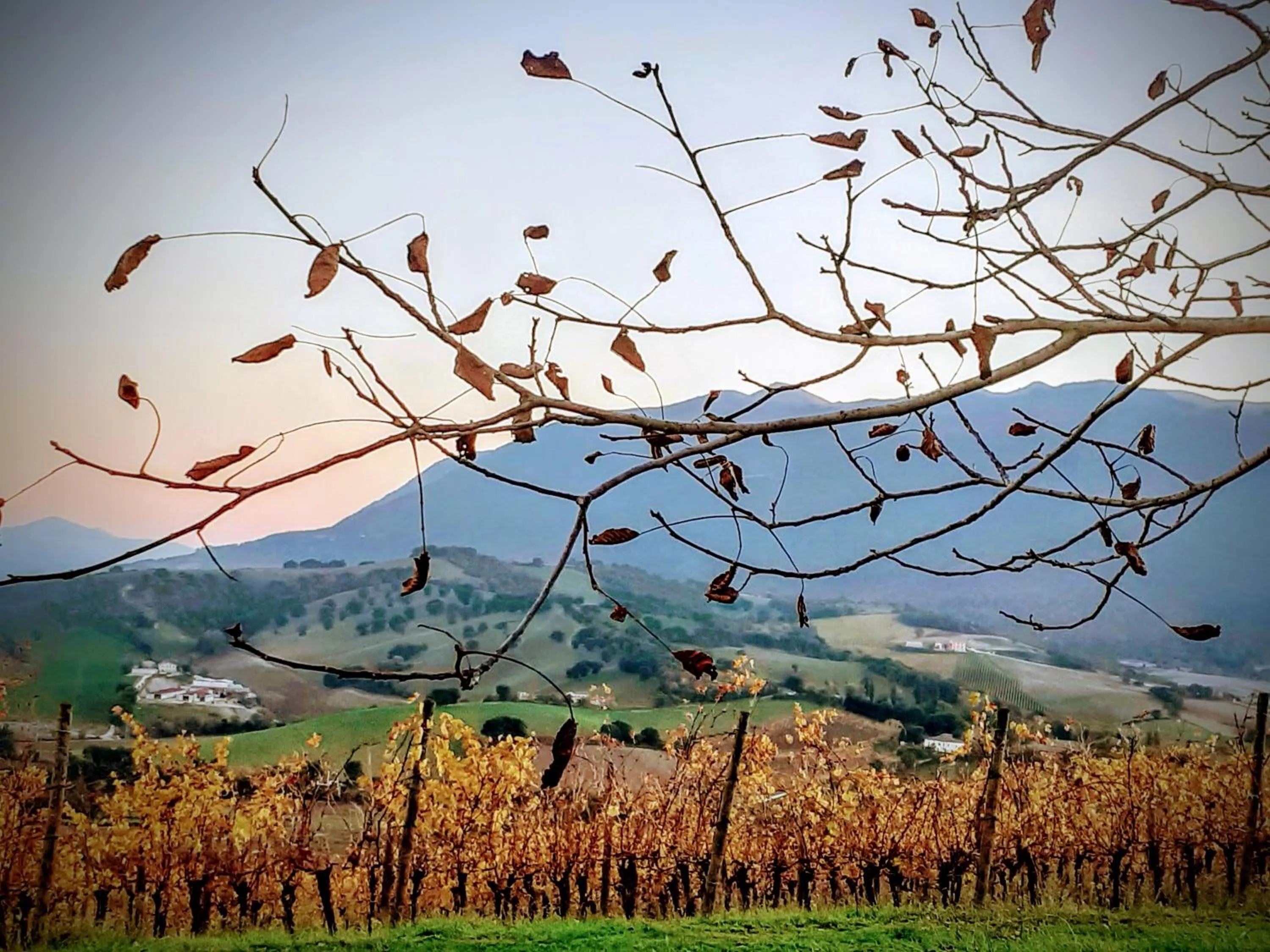 Off site in Tenuta Grimaldi Wine Resort