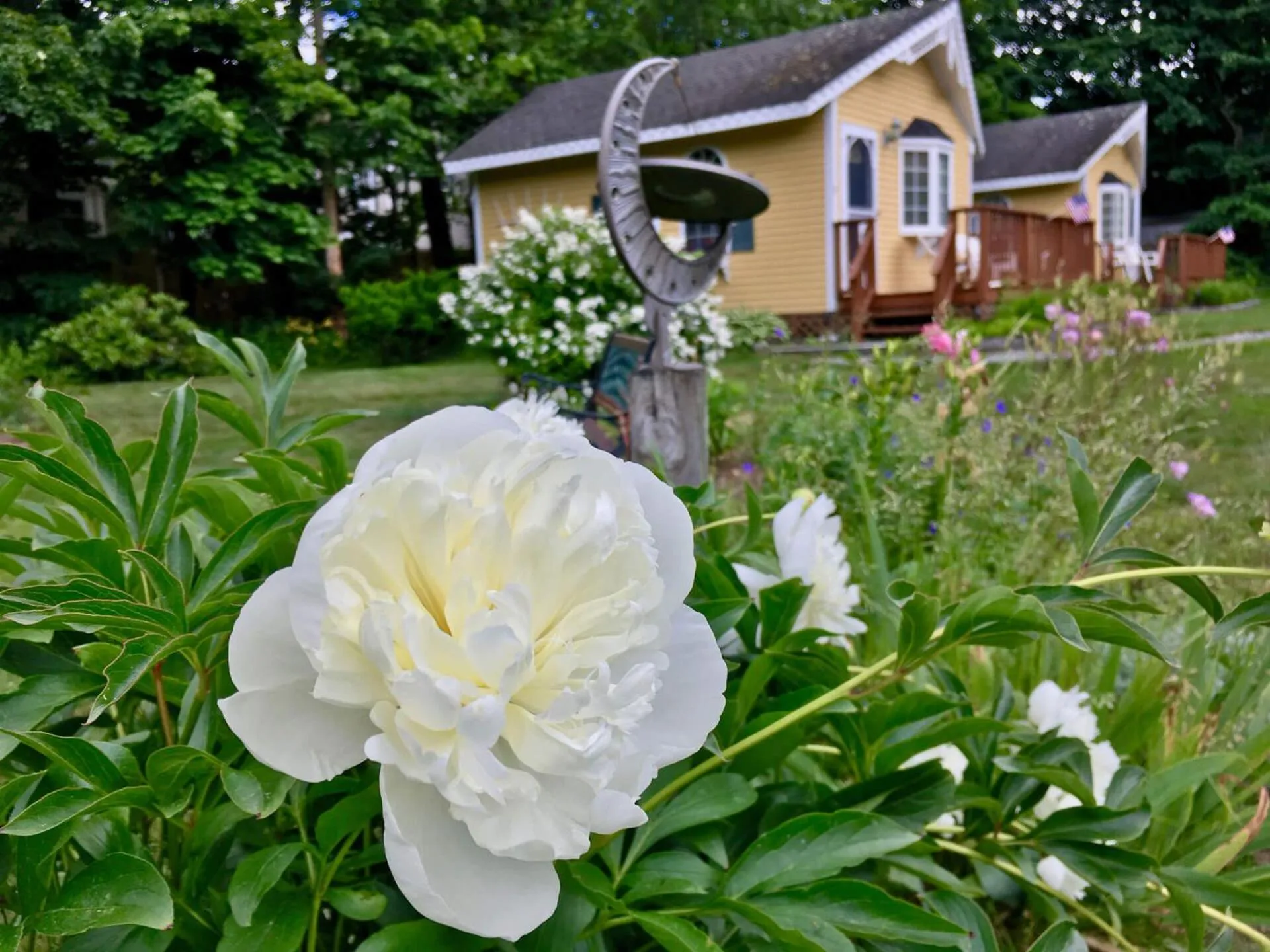 Garden in Sand Bar Cottage Inn
