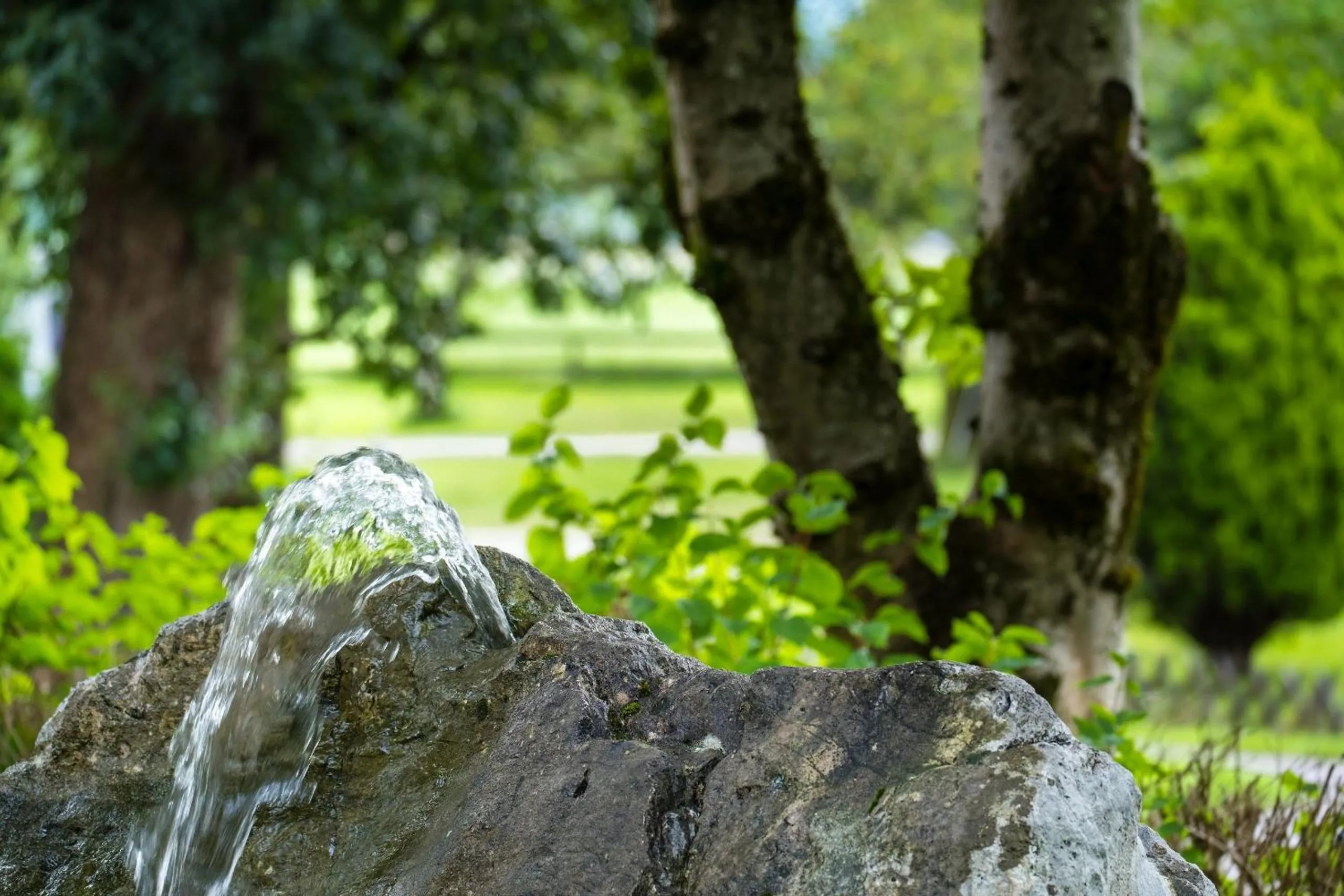 Garden in Hotel Apartment Das Au- Gut