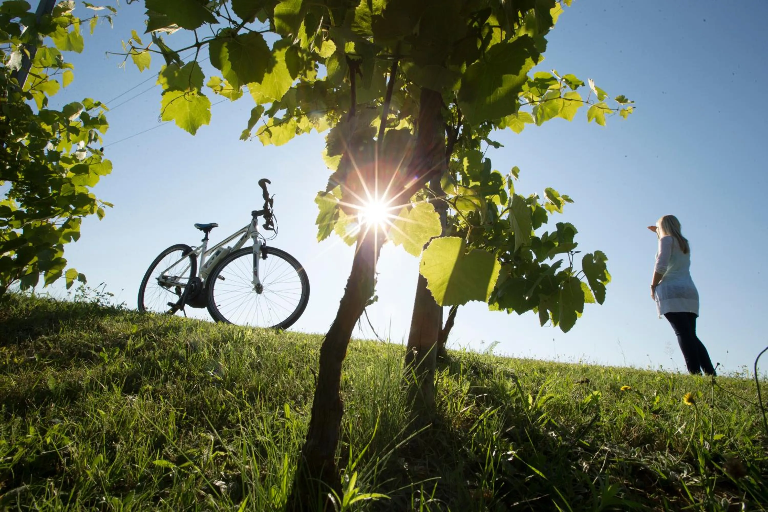 Day in Hotel Panoramahof Loipersdorf