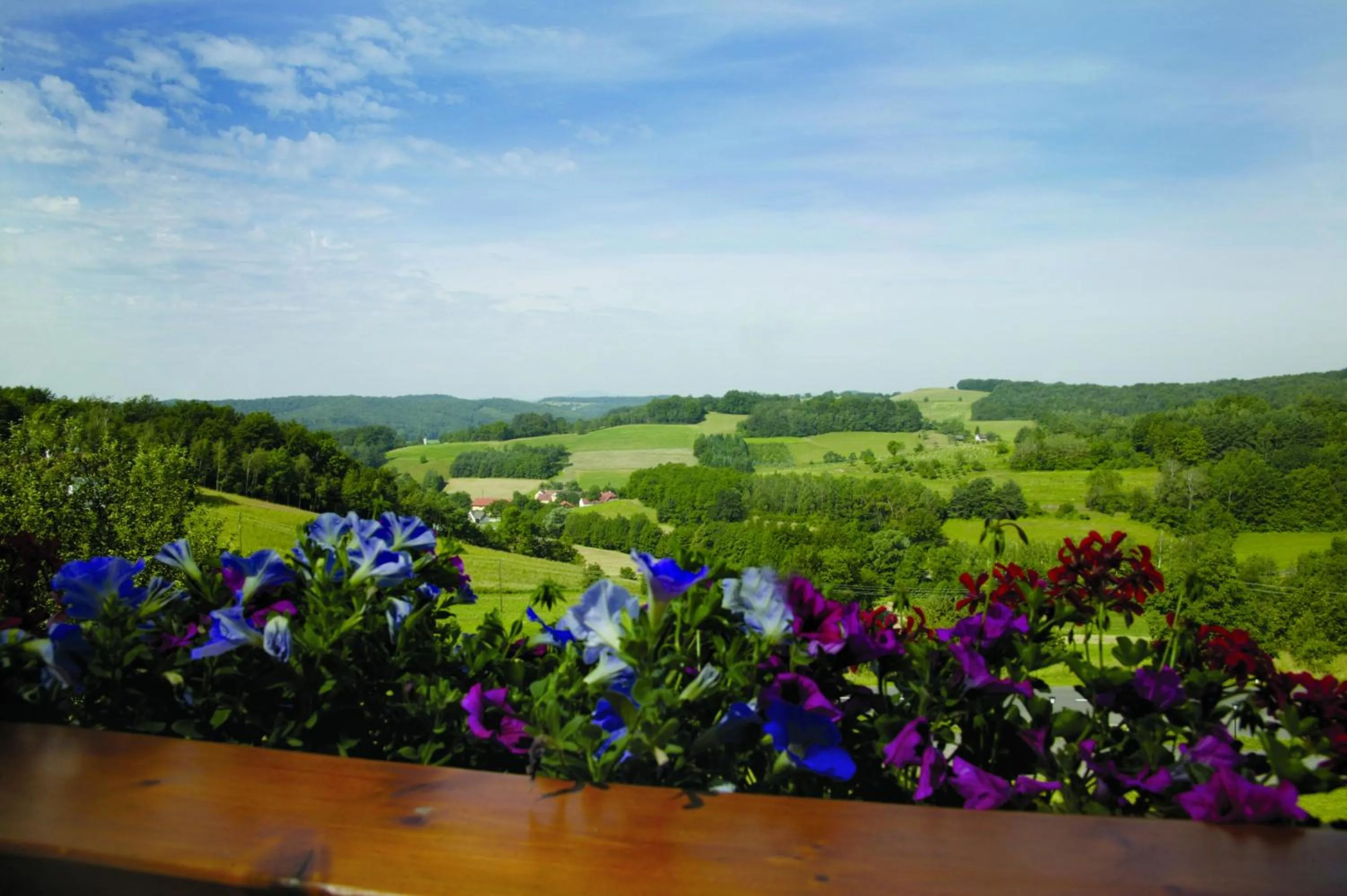 Day in Hotel Panoramahof Loipersdorf