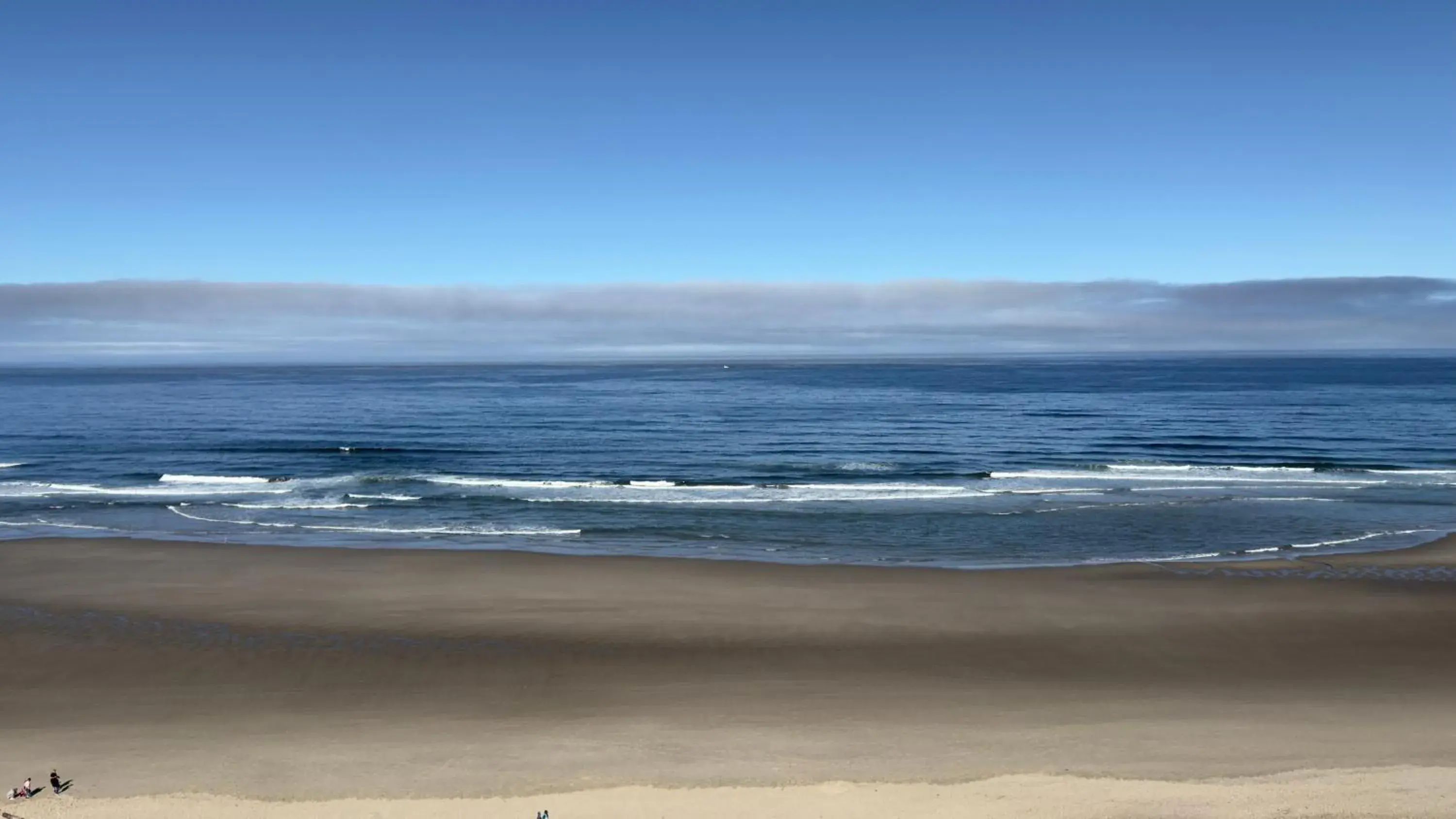 King Studio Oceanfront with Kitchenette - Corner View in Seahorse Oceanfront Lodge King Studio Oceanfront with Kitchenette - Corner View in Seahorse Oceanfront Lodge