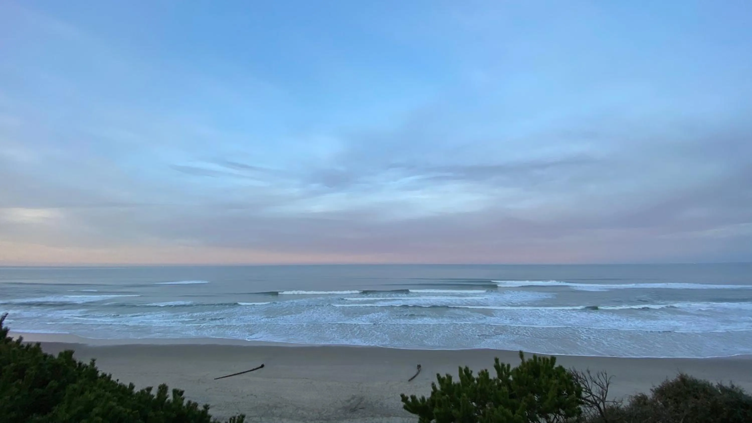 Natural landscape in Seahorse Oceanfront Lodge