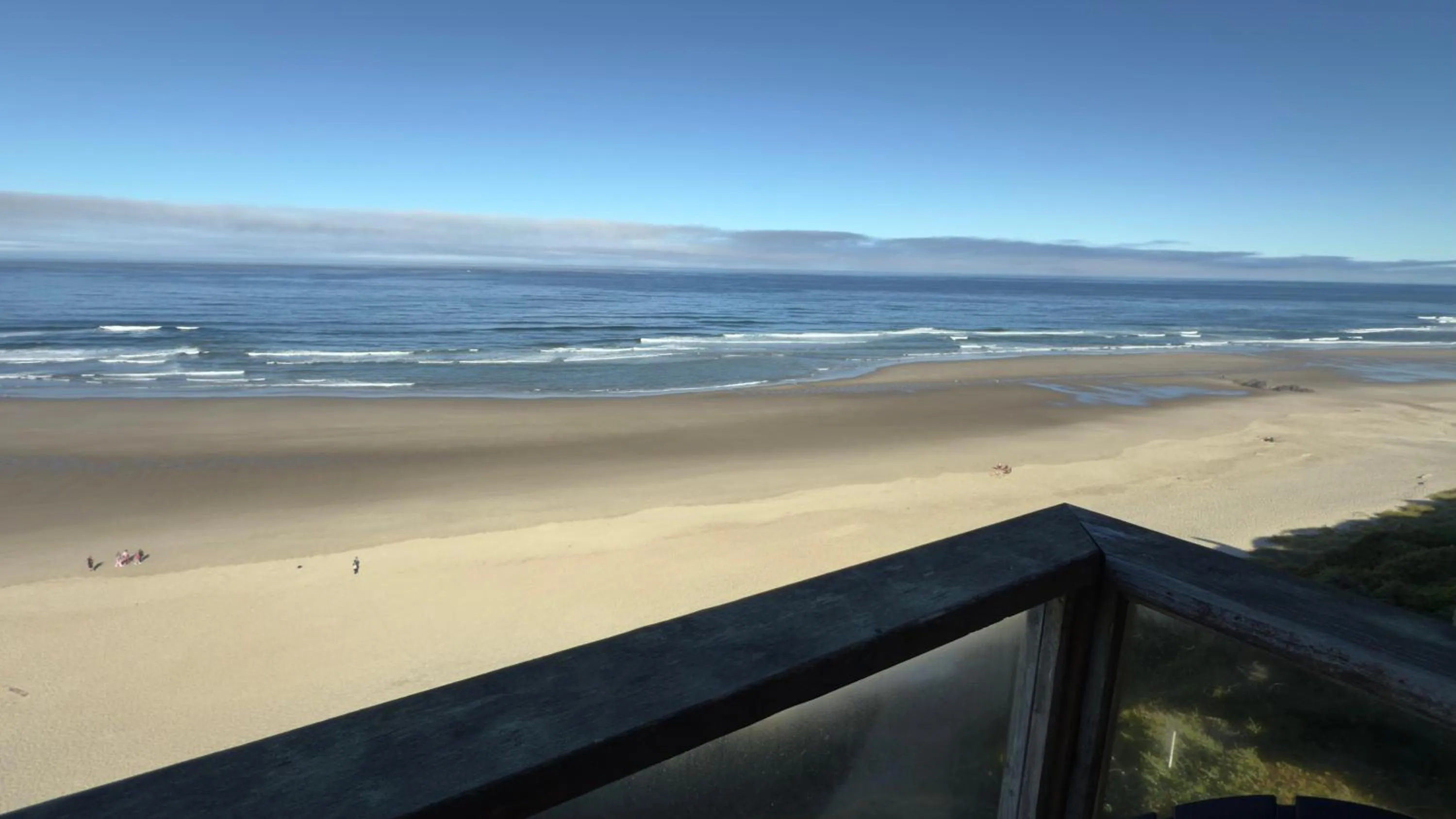 View (from property/room) in Seahorse Oceanfront Lodge