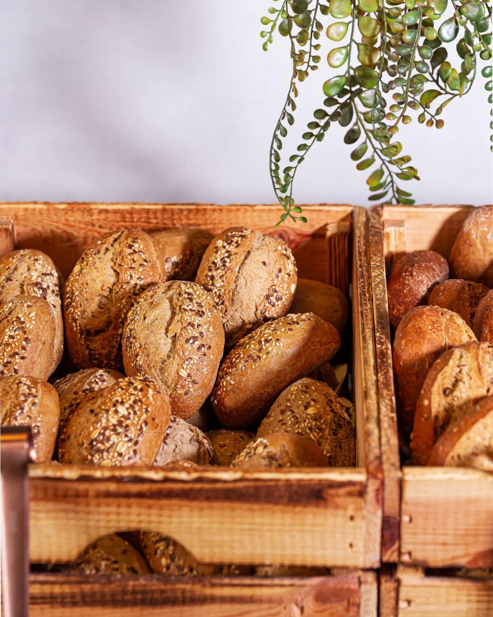 Breakfast in Altstadt Hotel Hofwirt Salzburg