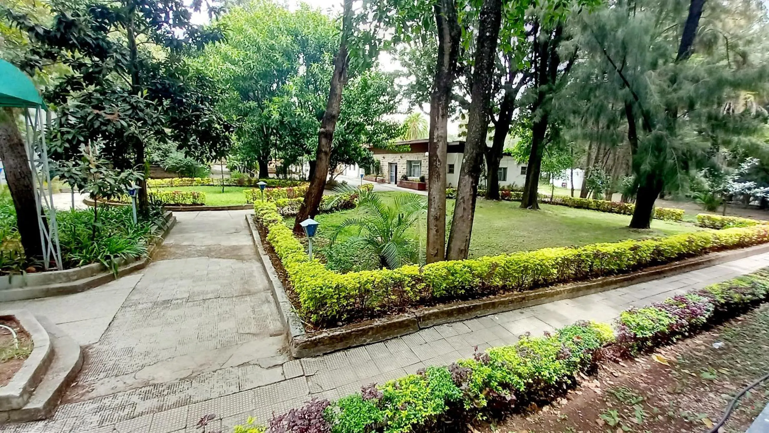 Garden view in GHION HOTEL