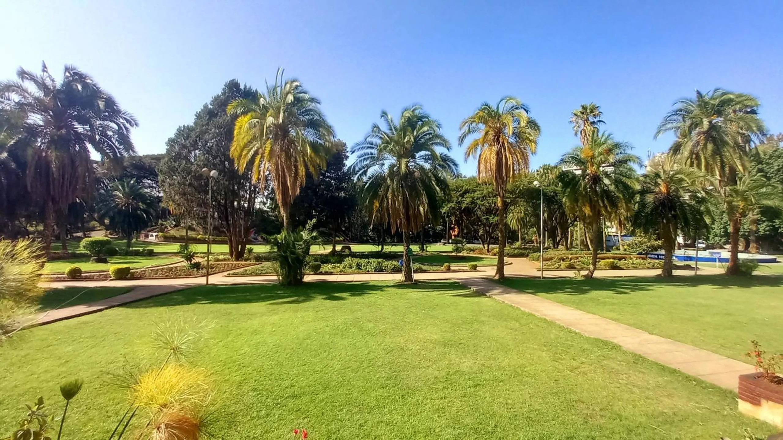 Garden in GHION HOTEL