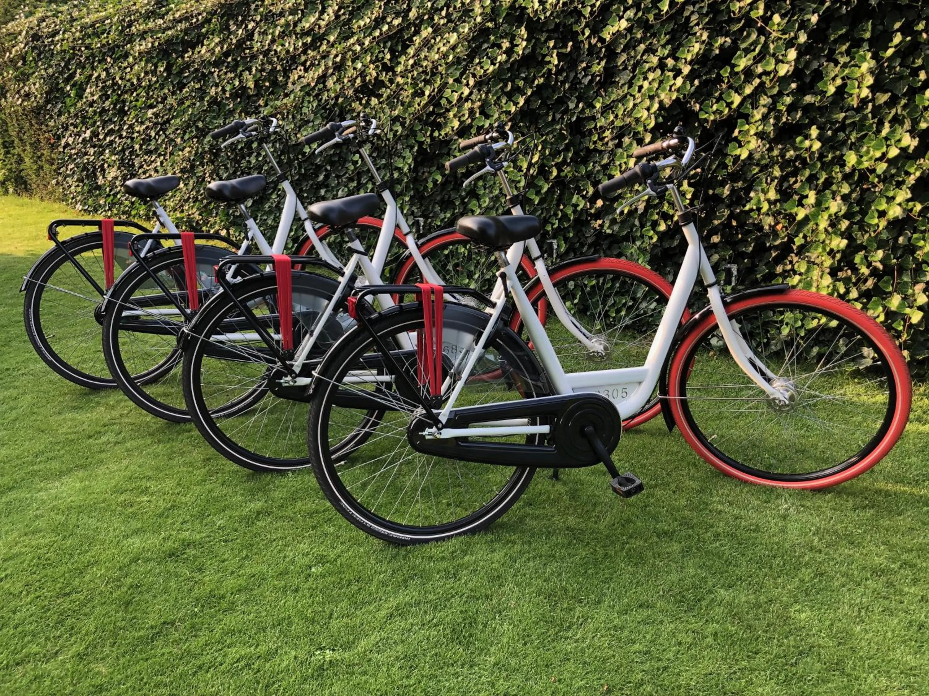 Cycling in BnB Mir Lo in Mierlo Adults only