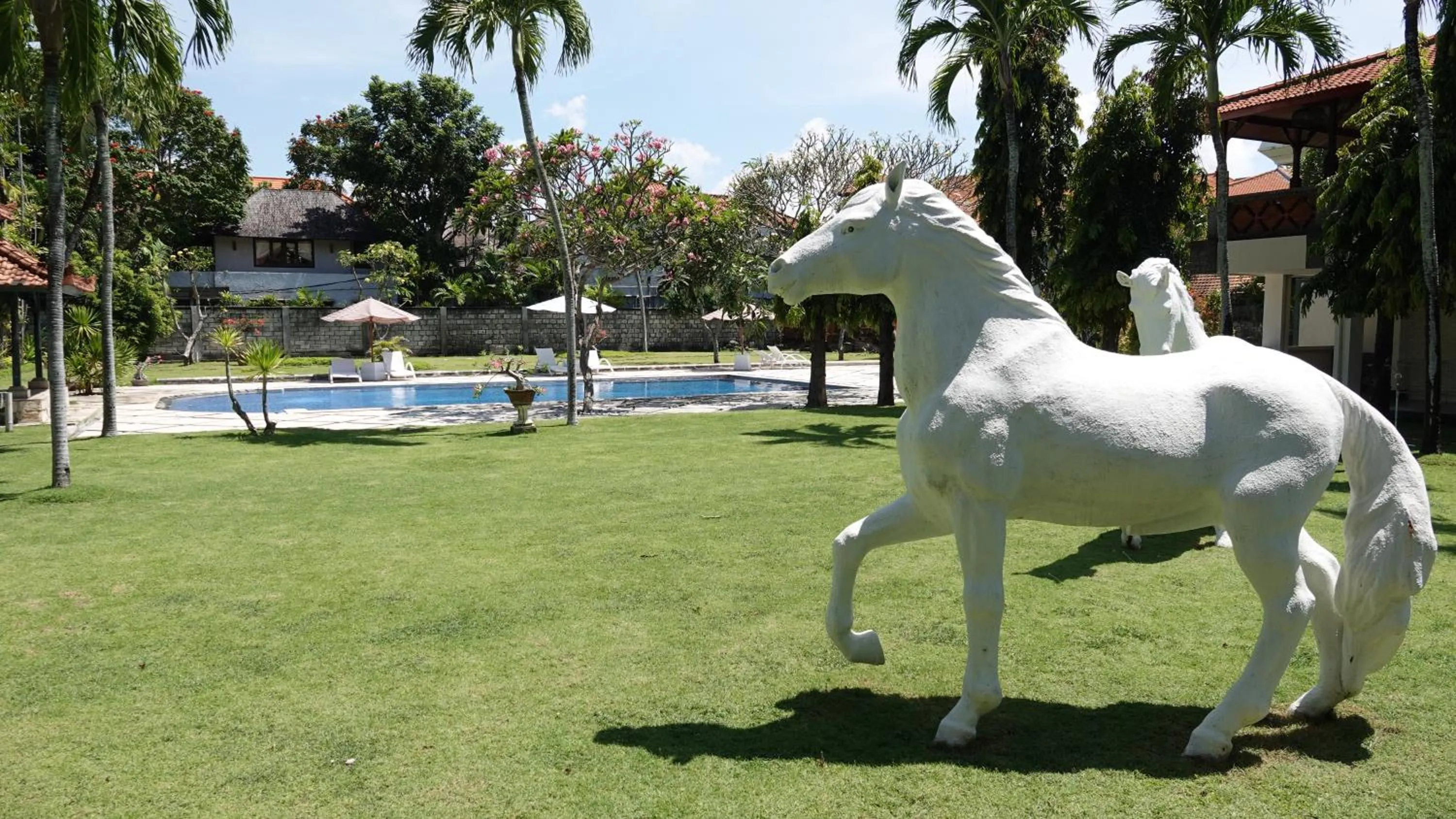Swimming pool in Bali Bungalo Hotel