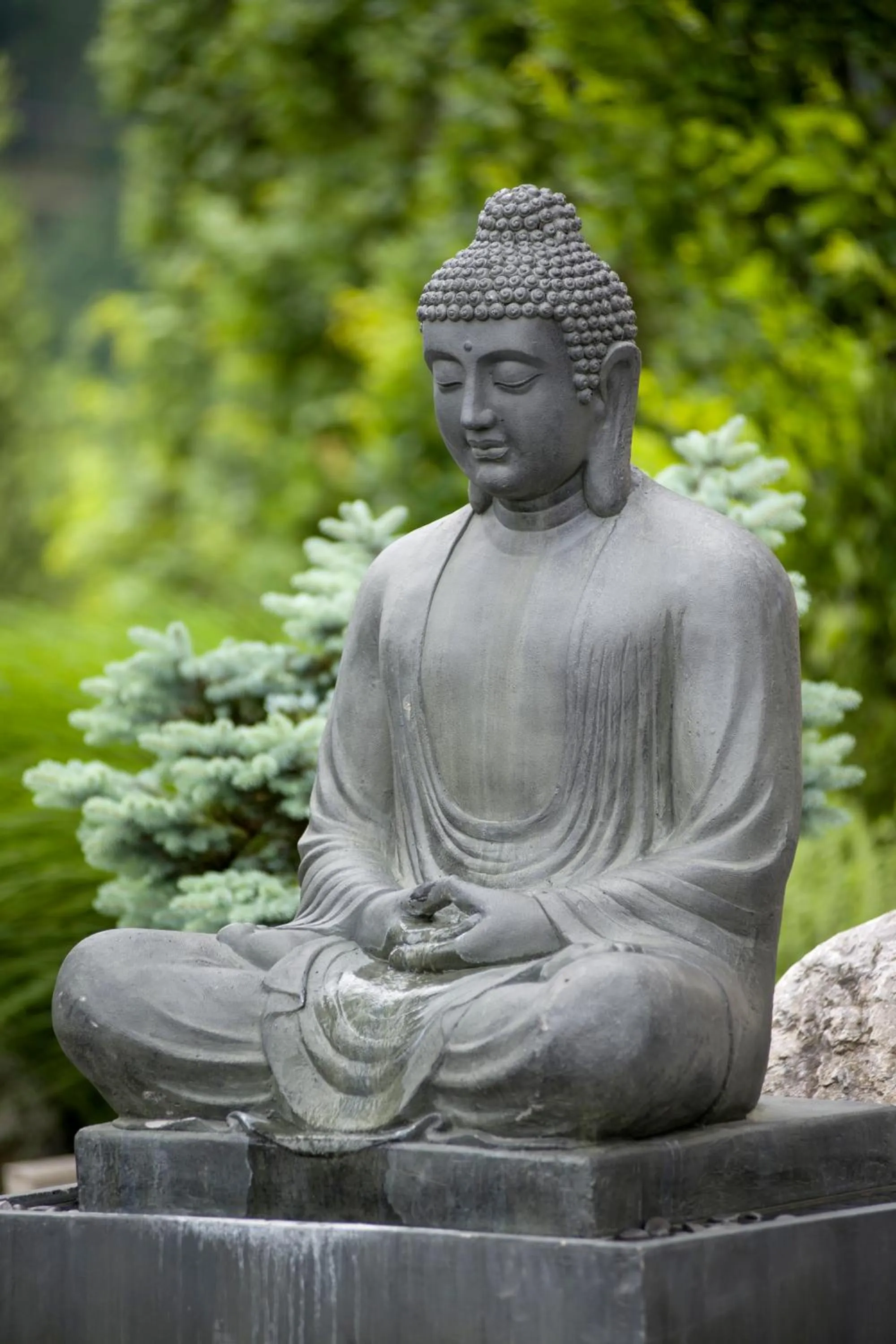 Area and facilities in Hotel Panorama Royal