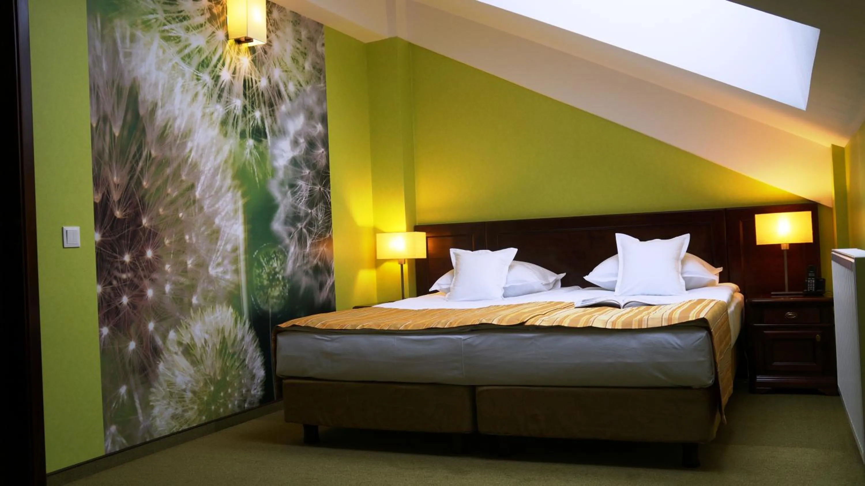 Premium One-Bedroom Suite - single occupancy in Hotel Residenz