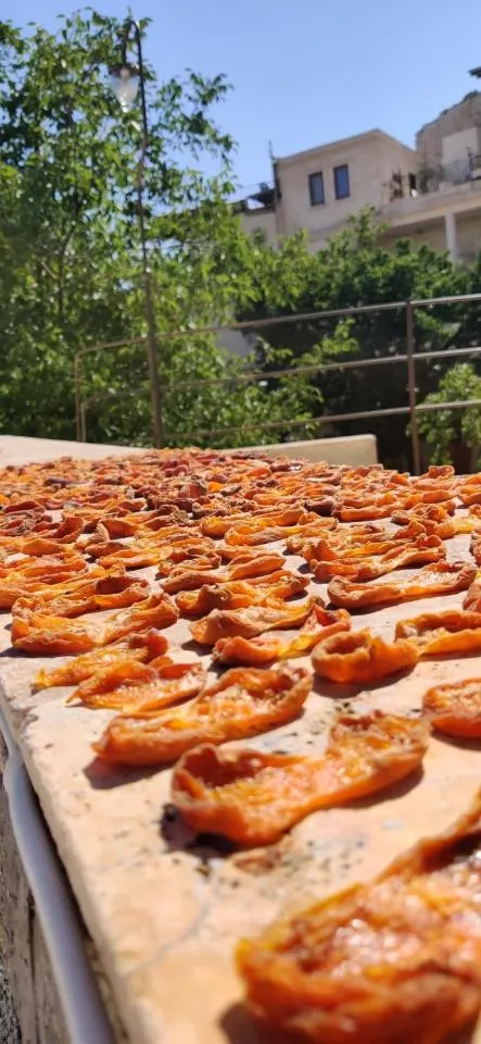 Garden in Sarnich Cave Suites