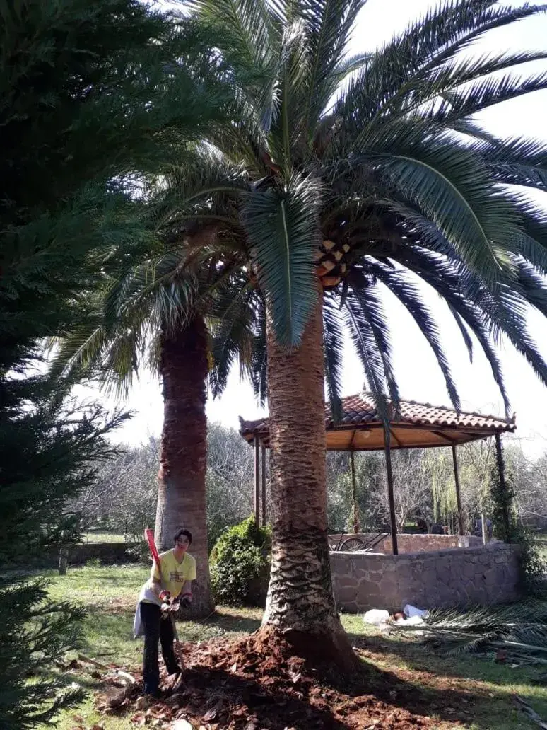 Nadia Apartments Nadia Apartments