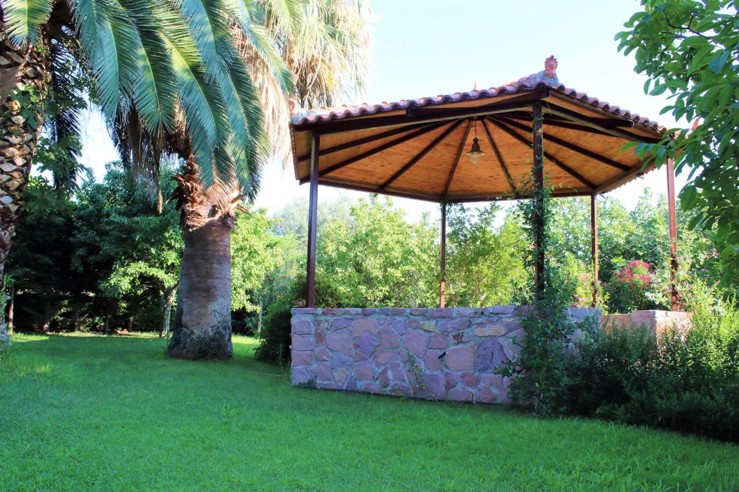 Balcony/Terrace in Nadia Apartments