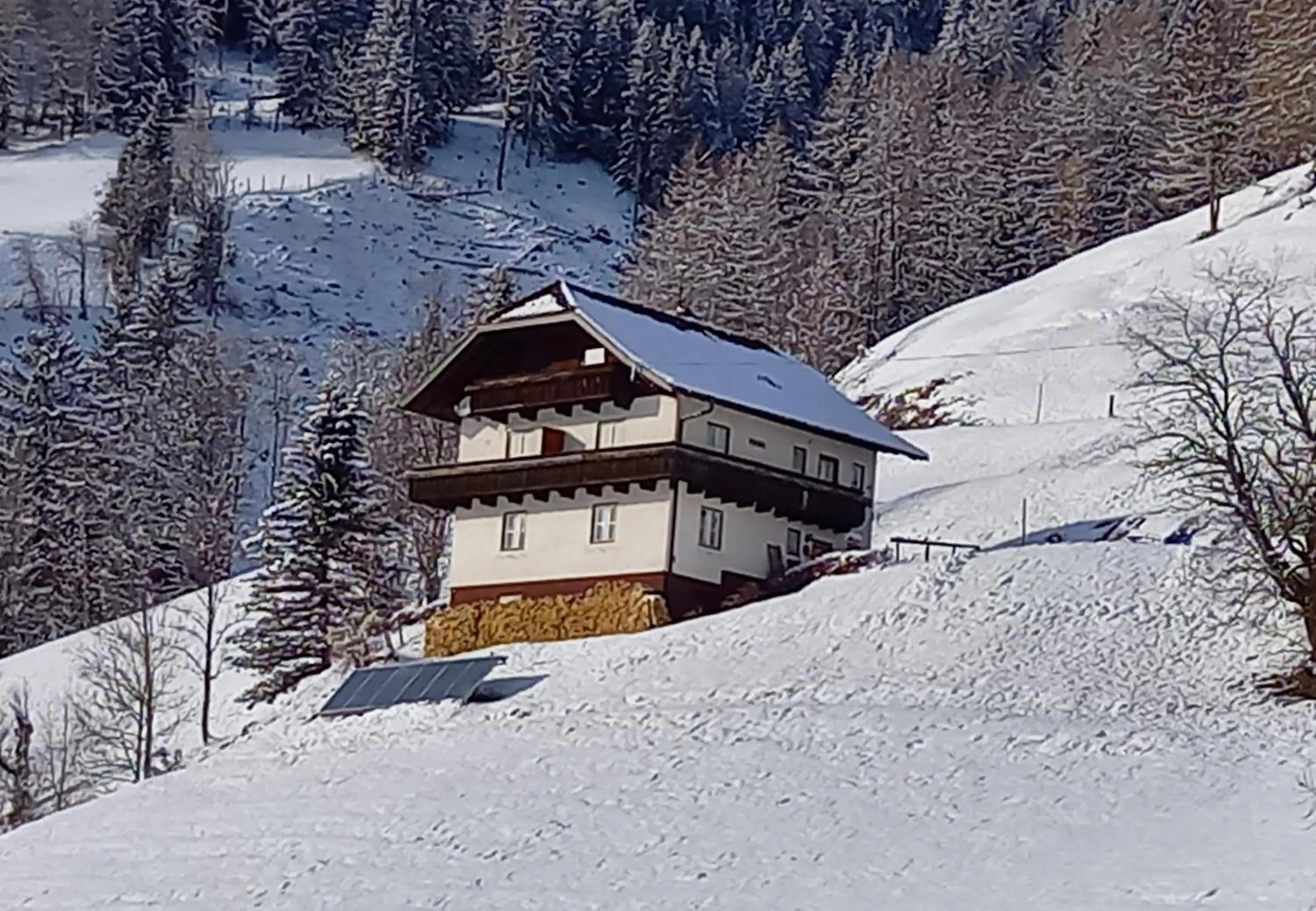 Property building in Tischnerhof Appartements