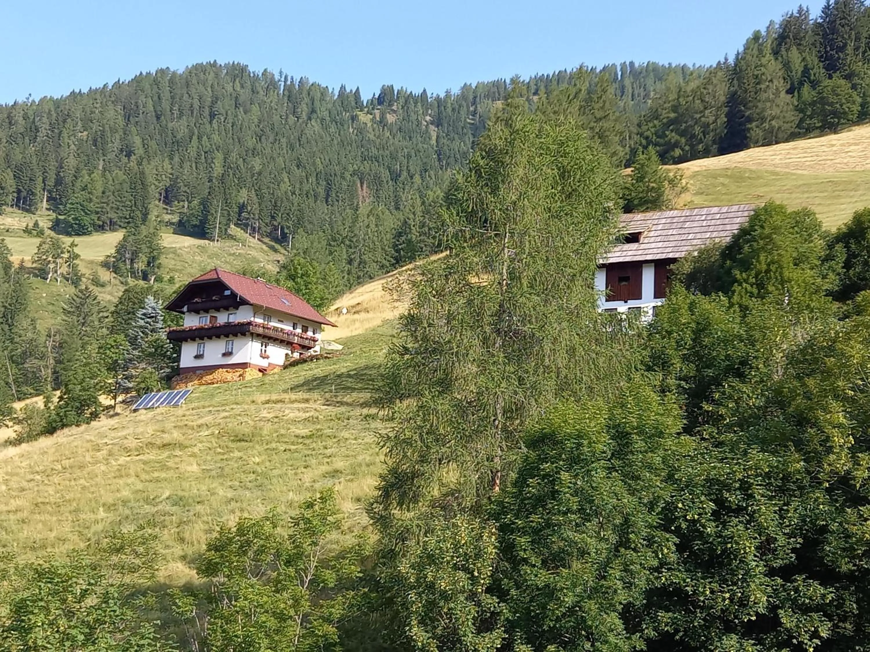 Natural landscape in Tischnerhof Appartements