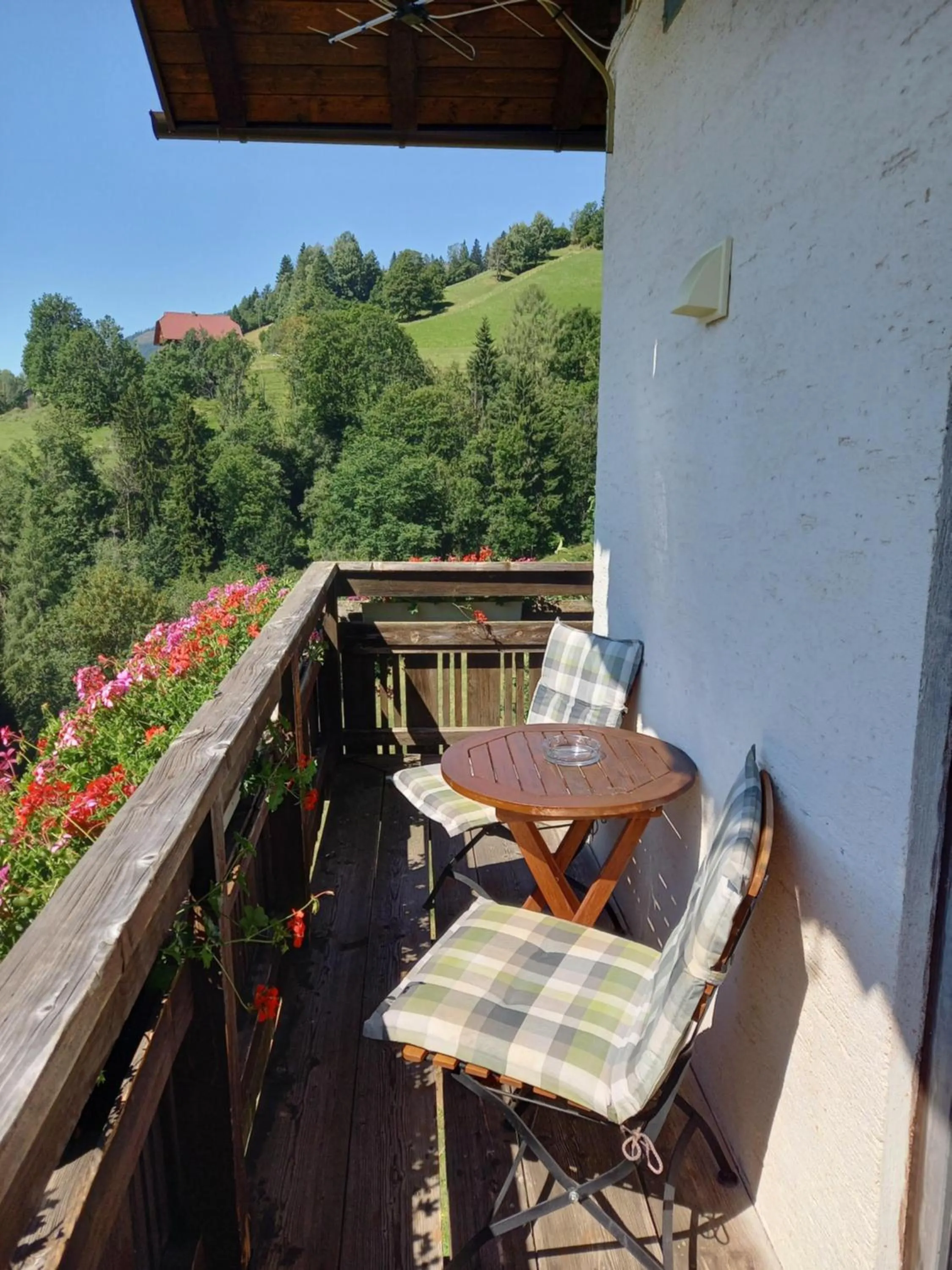 Natural landscape in Tischnerhof Appartements
