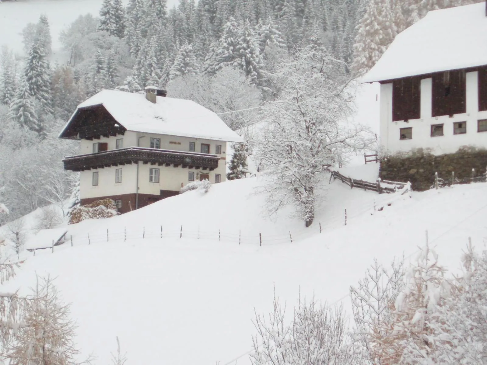 Property building in Tischnerhof Appartements