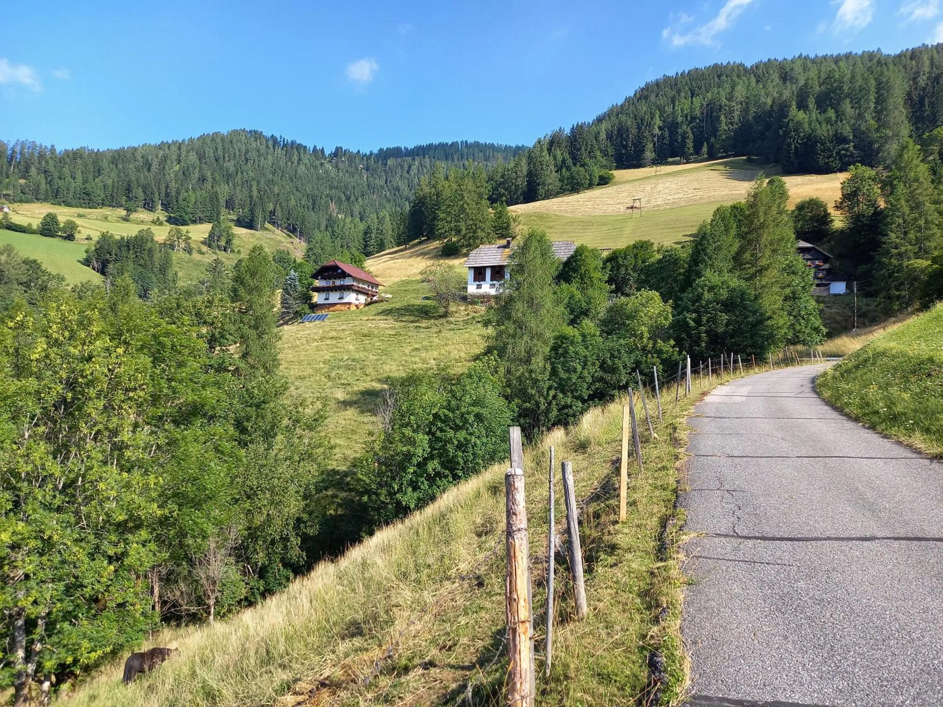 Property building in Tischnerhof Appartements