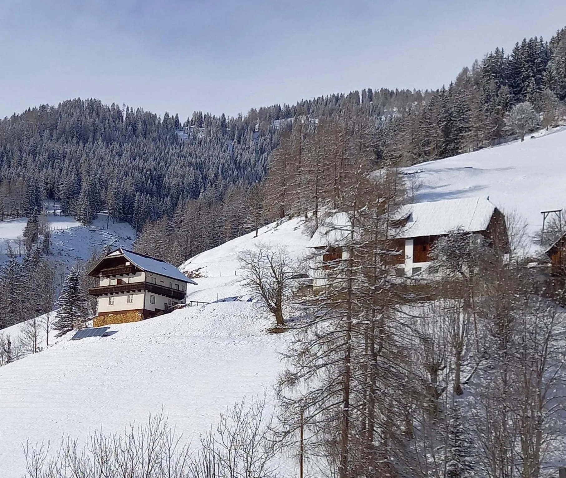 Property building in Tischnerhof Appartements